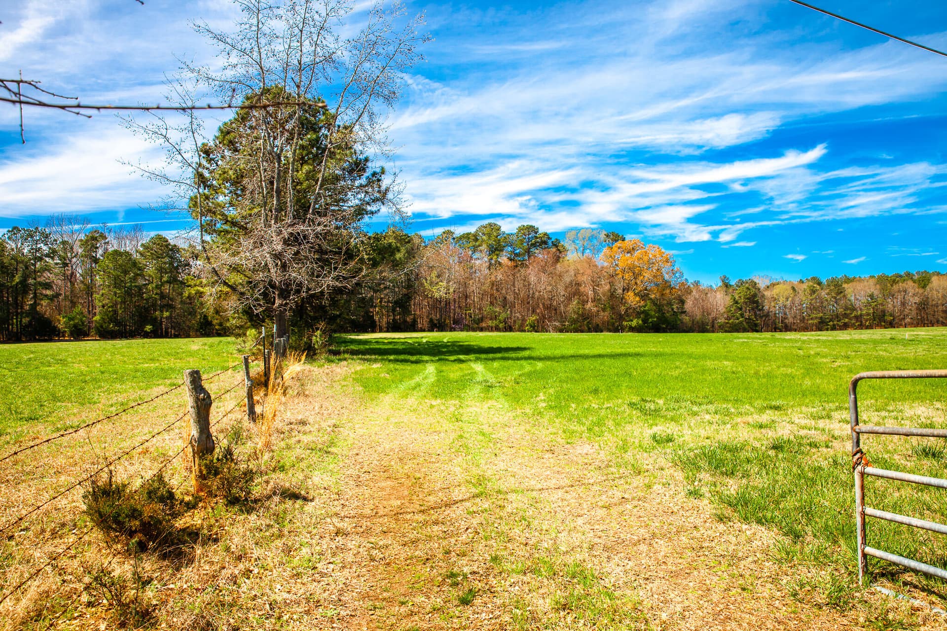 Undeveloped at 3520 3 Mistletoe Rd Road, Appling, GA 30802, photo 6 of 12