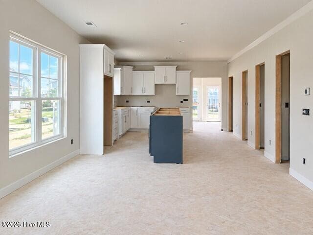 9.22 Progress photo - 915 Everlong Lane, Wilmington, NC 28412