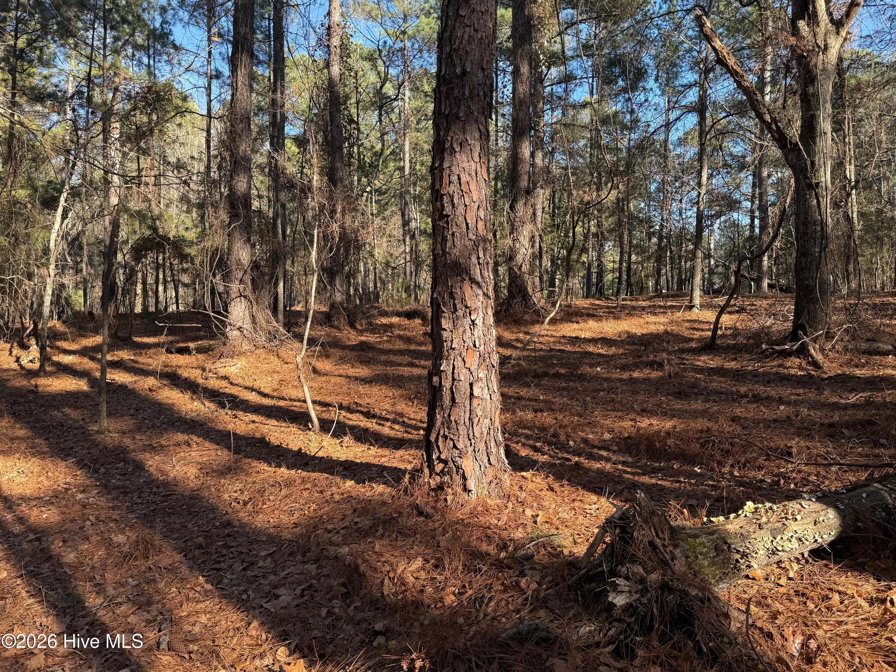 Residential Lot at 125 Millstone Court, West End, NC 27376, photo 4 of 4