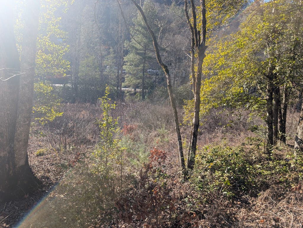 Land at Lot 3 Riverview, Robbinsville, NC 28771, photo 16 of 33