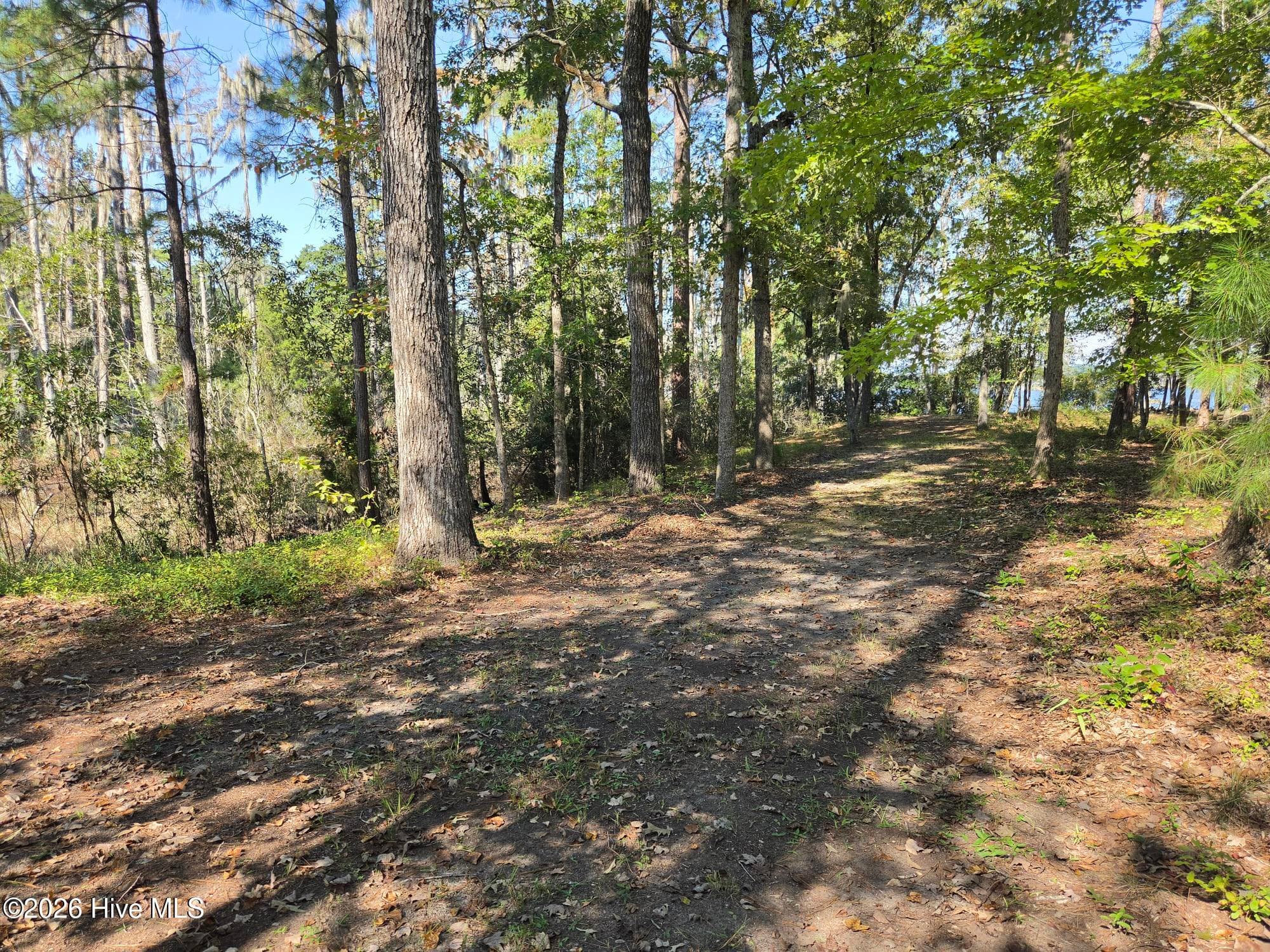 Undeveloped at 321 Bay View Drive, Chocowinity, NC 27817, photo 5 of 12