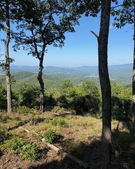 Residential Lot at L-16&17 16 & 17 Summit Drive, Hayesville, NC 28904, Hayesville, photo 9 of 30
