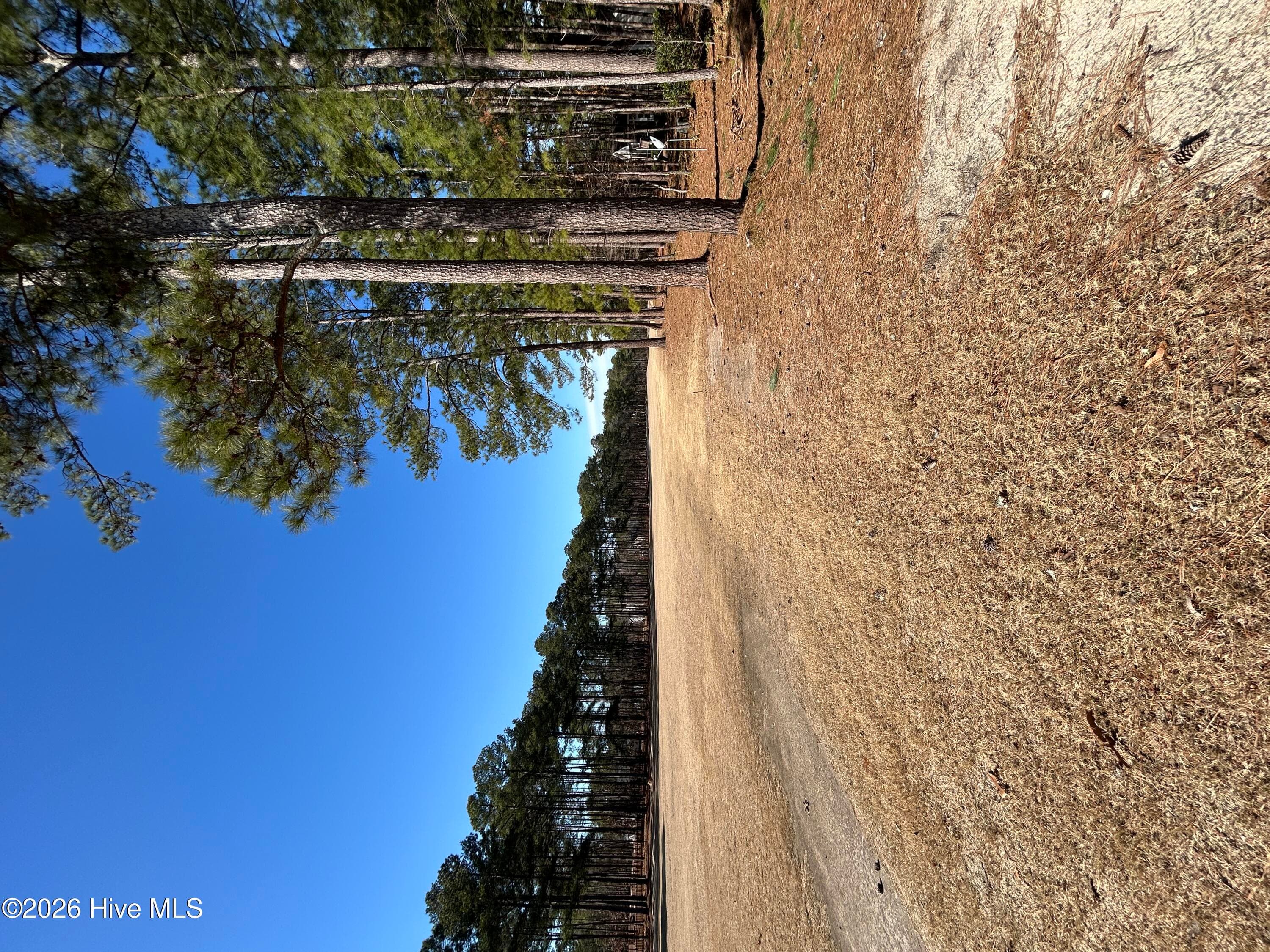 Single Family Residence at 28880 Deercroft Drive, Wagram, NC 28396, photo 116 of 123