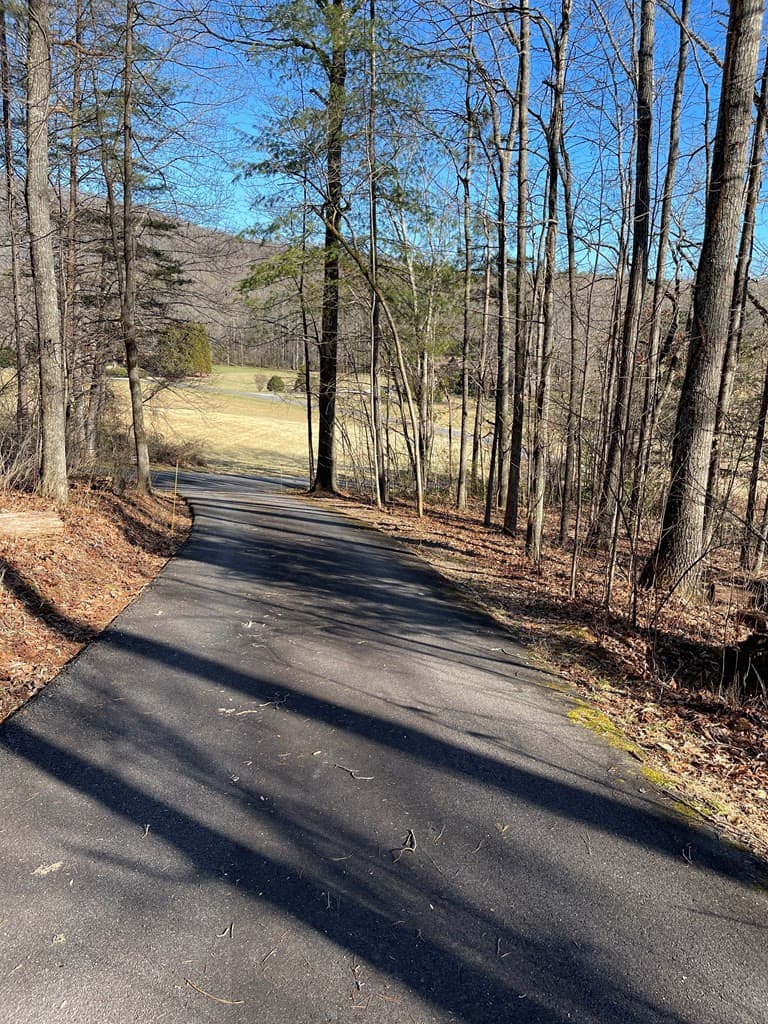 Residential Lot at Lot #12e 12E The Woodlands, Hayesville, NC 28904, photo 5 of 6
