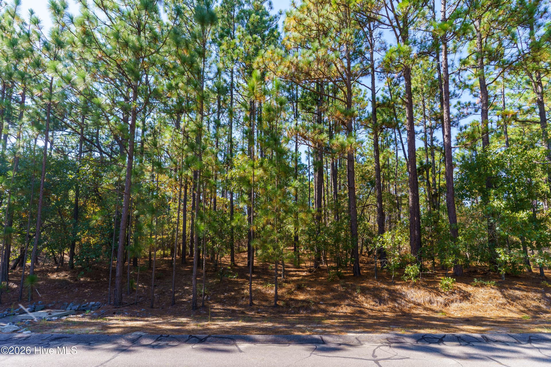 134 Vanore Road, West End, NC 27376