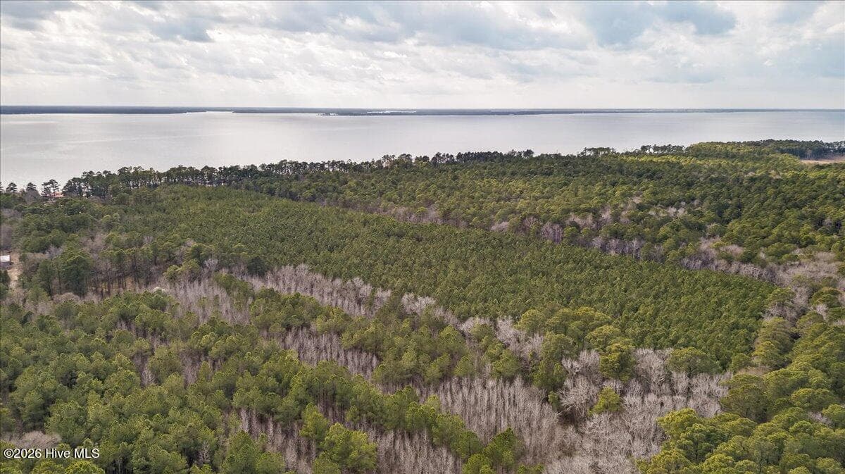 Wooded at 2162 Old Pamlico Beach Road W, Belhaven, NC 27810, photo 23 of 25