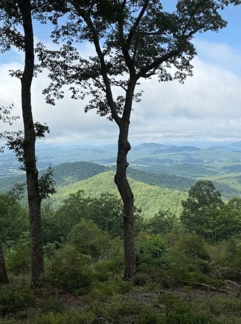 Residential Lot at L-16&17 16 & 17 Summit Drive, Hayesville, NC 28904, Hayesville, photo 13 of 30