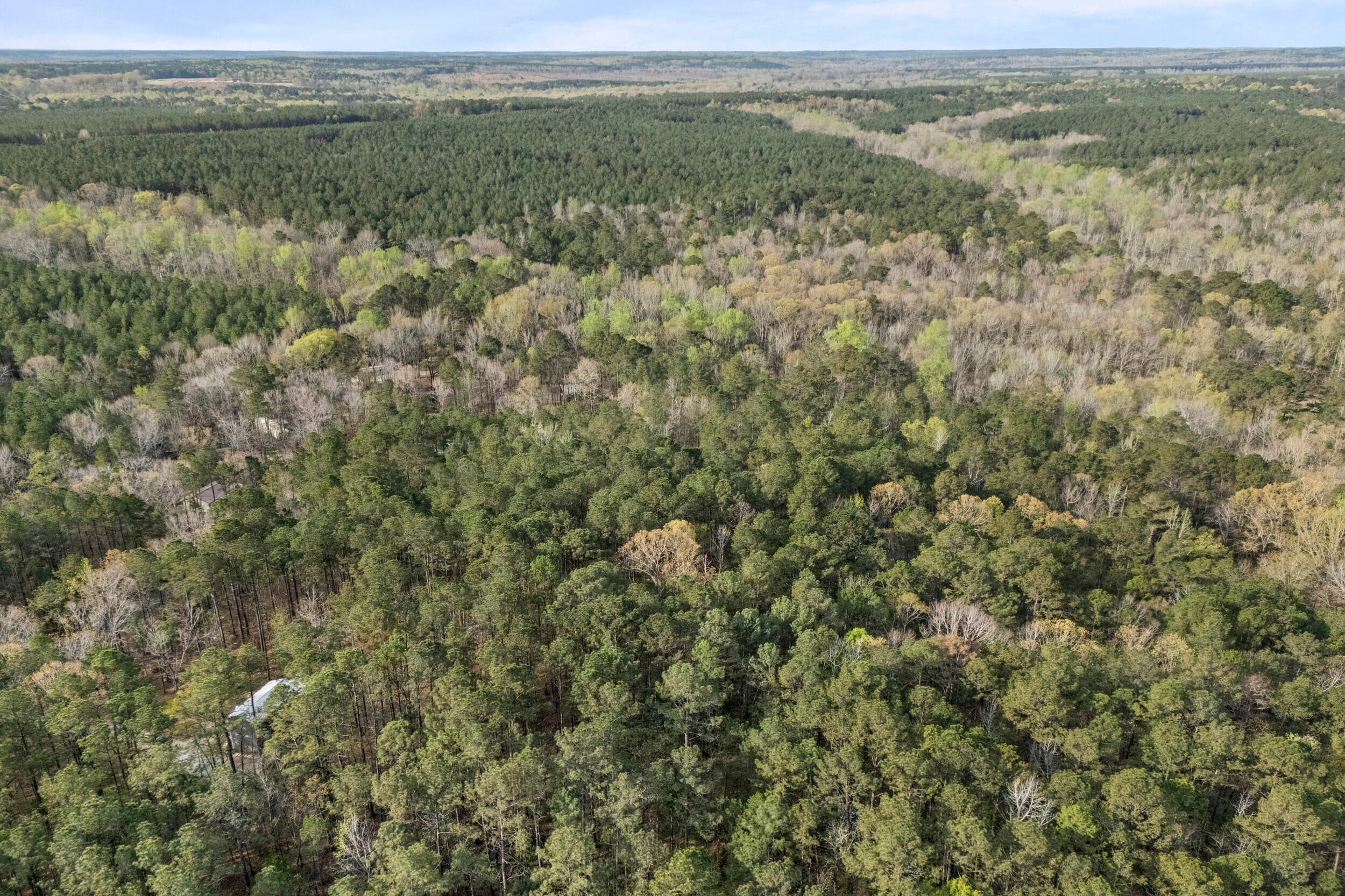 Residential Lot at 0 Lbk Circle, Tignall, GA 30668, photo 19 of 22