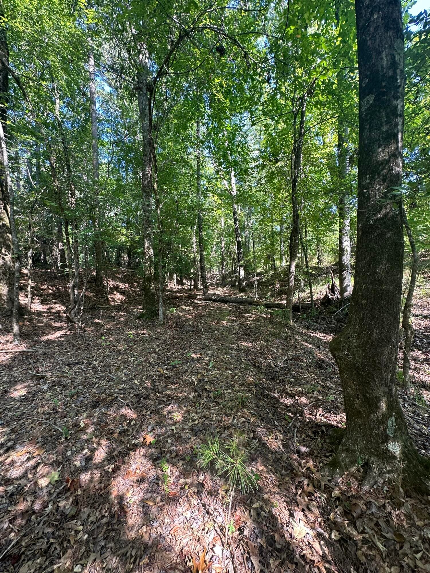 Mixed Use at Lot 3a 3A Elberton Highway, Lincolnton, GA 30817, photo 18 of 27