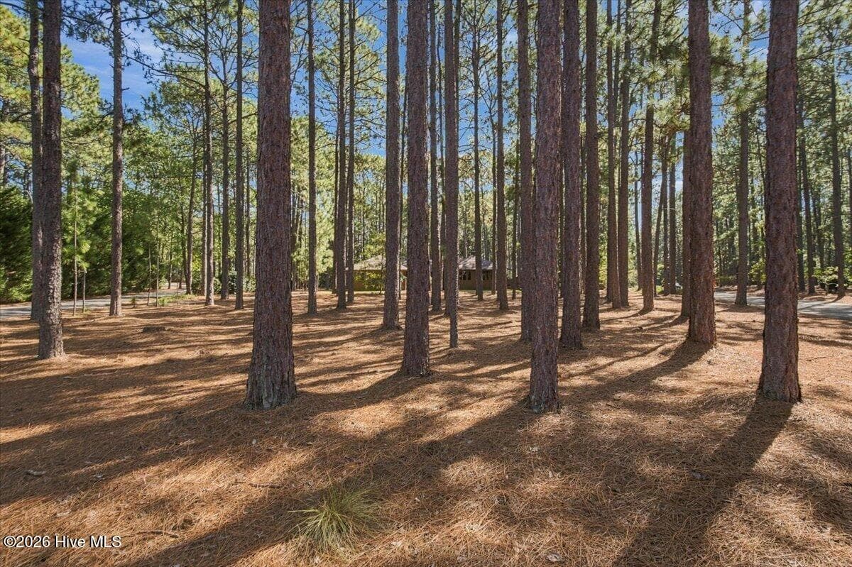 Single Family Residence at 375 Swoope Drive, Southern Pines, NC 28387, photo 63 of 82