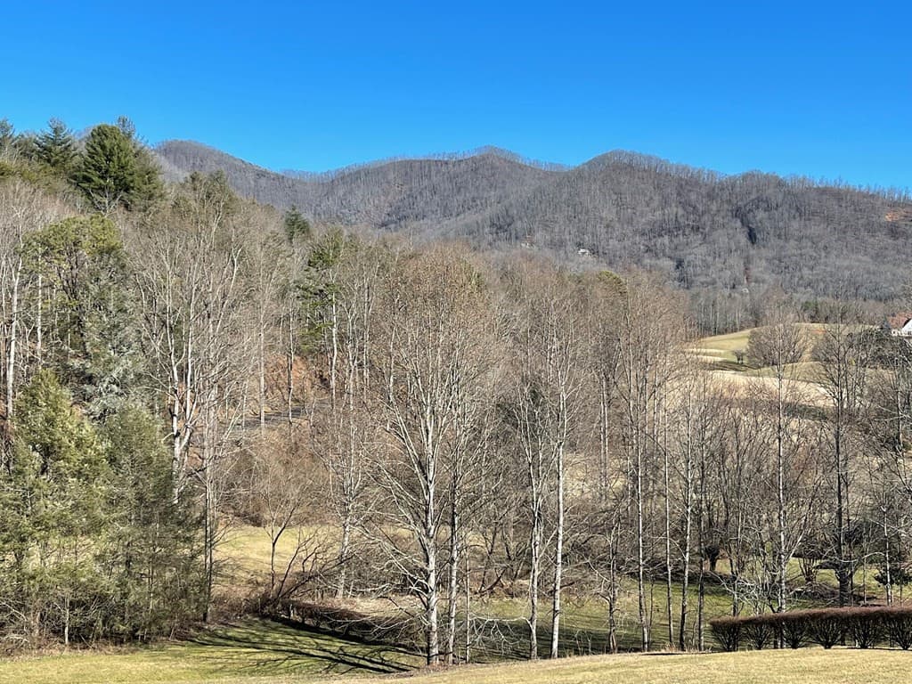Residential Lot at Lot 21c 21C Ash Branch Circle, Hayesville, NC 28904, Hayesville, photo 3 of 6