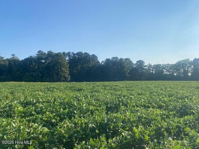 Undeveloped at 0 Stott Road, Bailey, NC 27807, photo 7 of 12