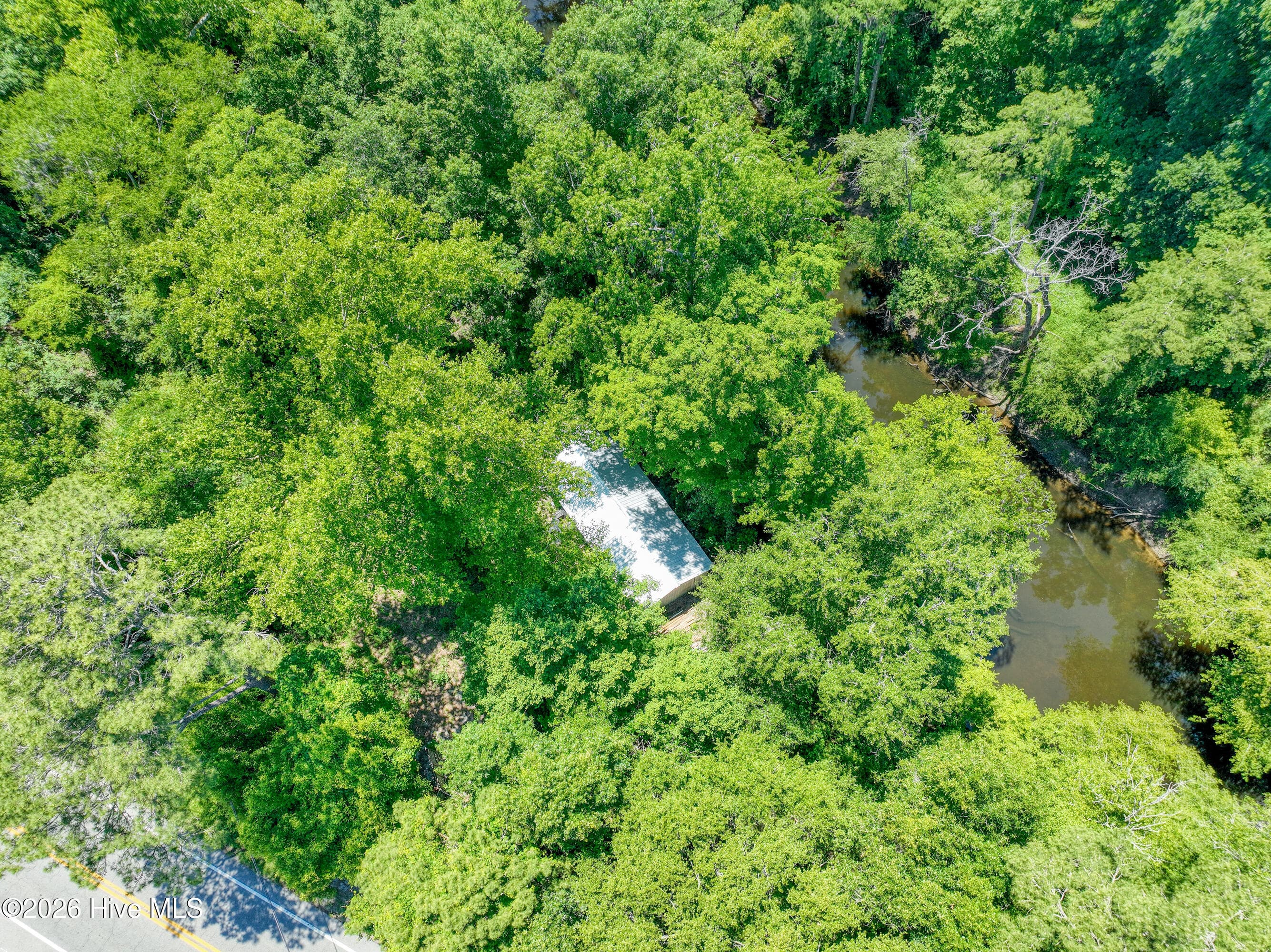 Undeveloped at 107 Highway 41 E, Trenton, NC 28585, photo 9 of 21