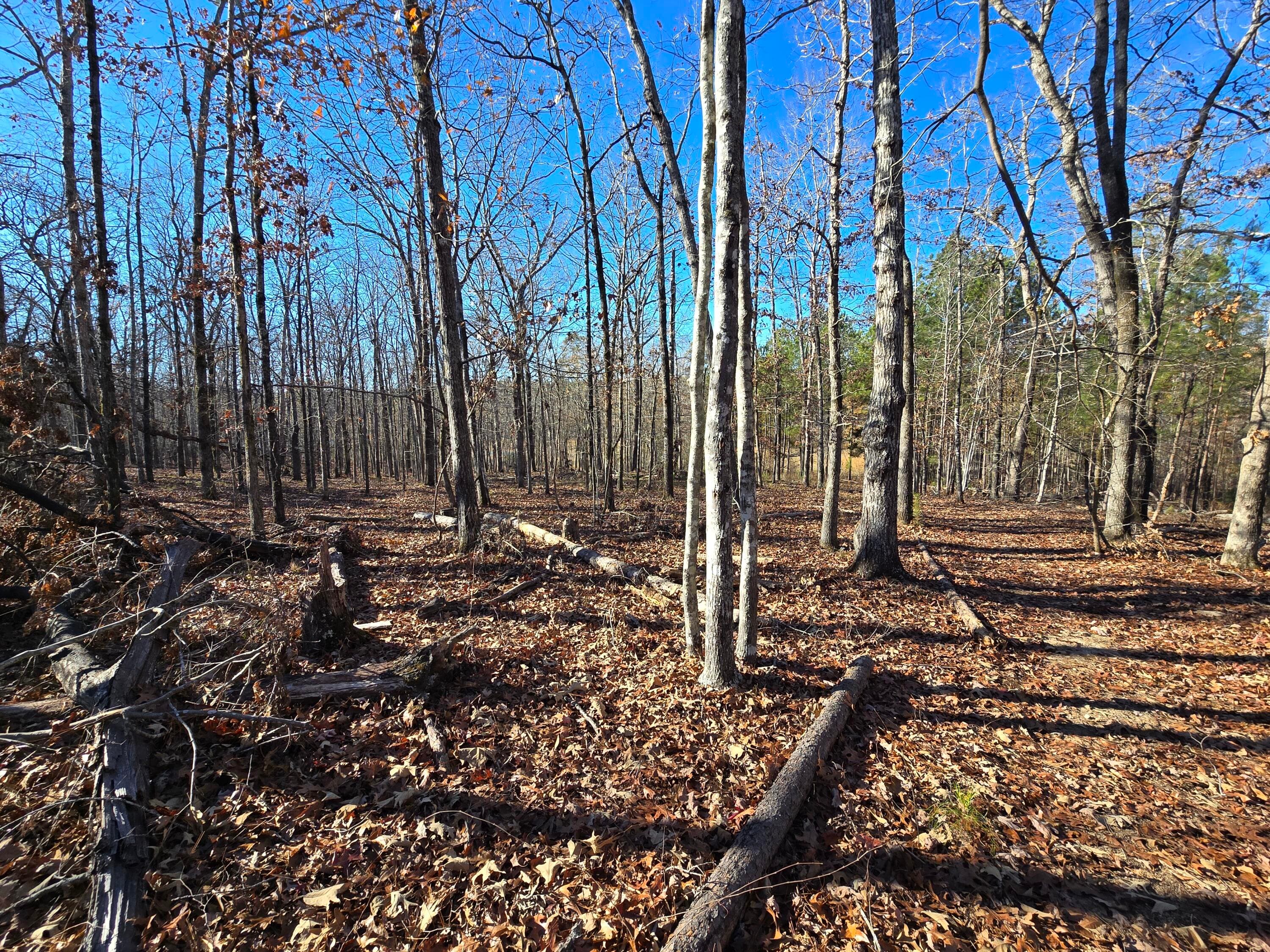 Residential Lot at 1102 Dogwood Drive, Lincolnton, GA 30817, photo 15 of 46