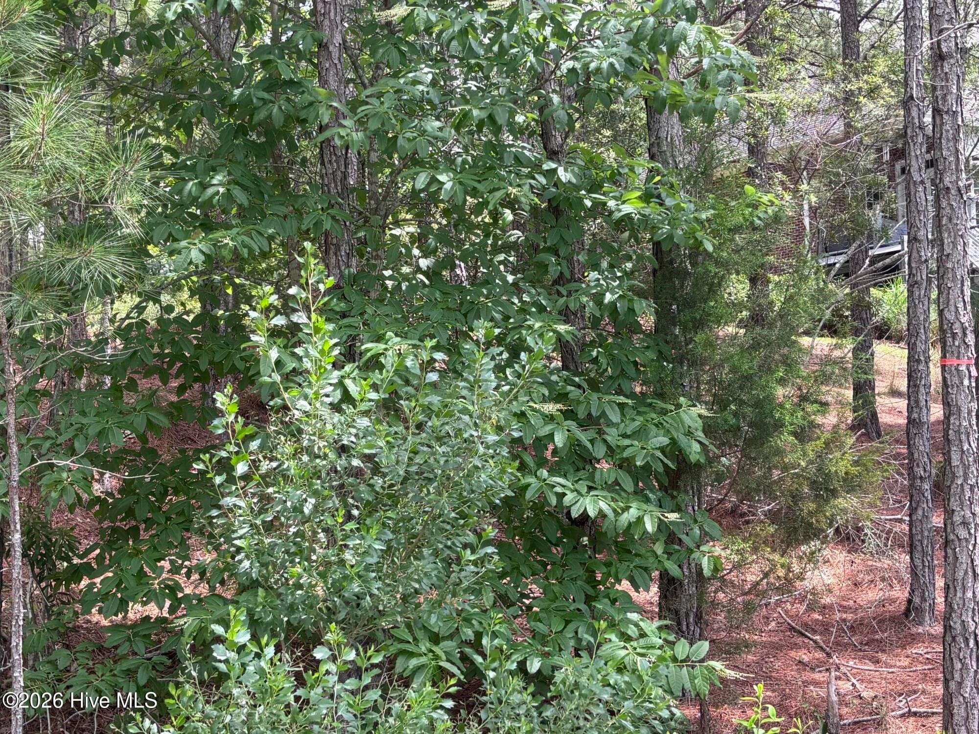 Residential Lot at 111 Callis Circle, West End, NC 27376, photo 15 of 18