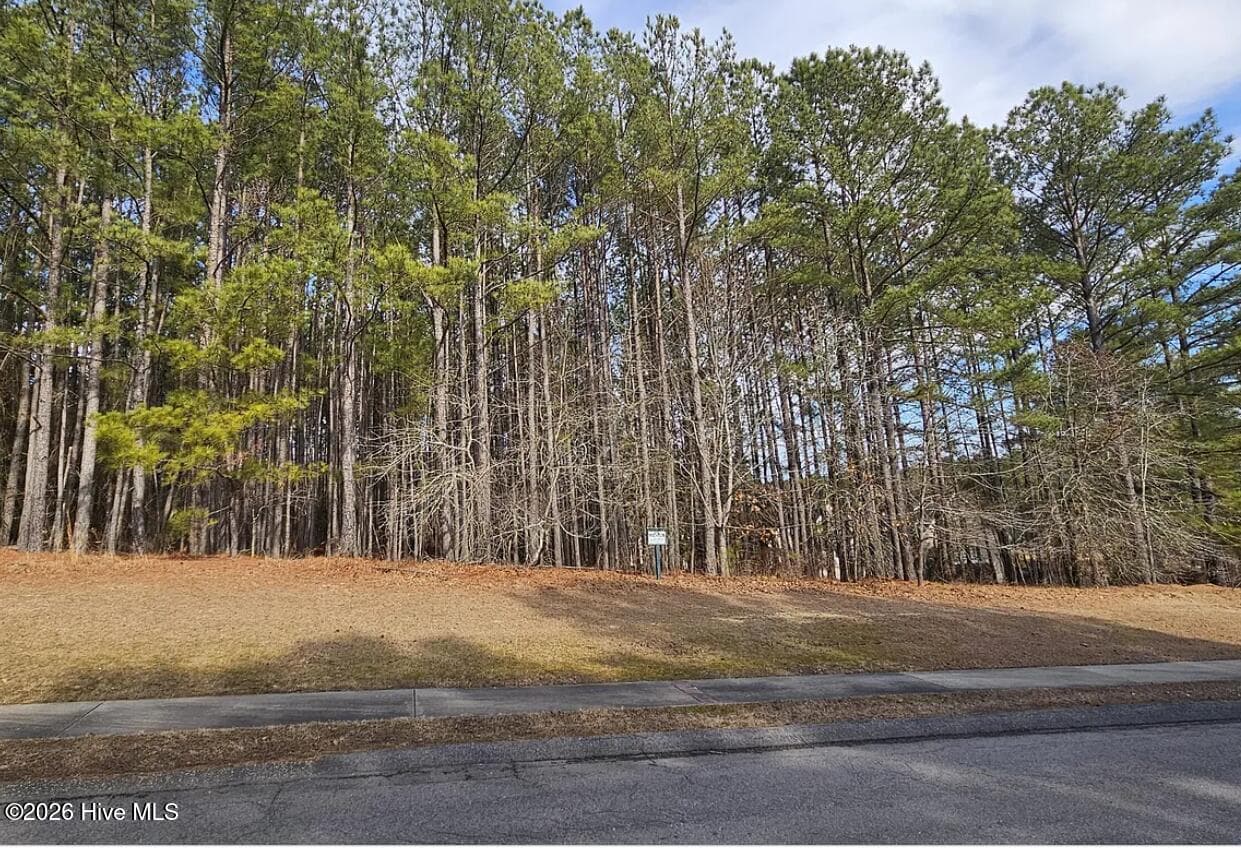 Residential Lot at 175 Broken Ridge Trail, West End, NC 27376, photo 3 of 8