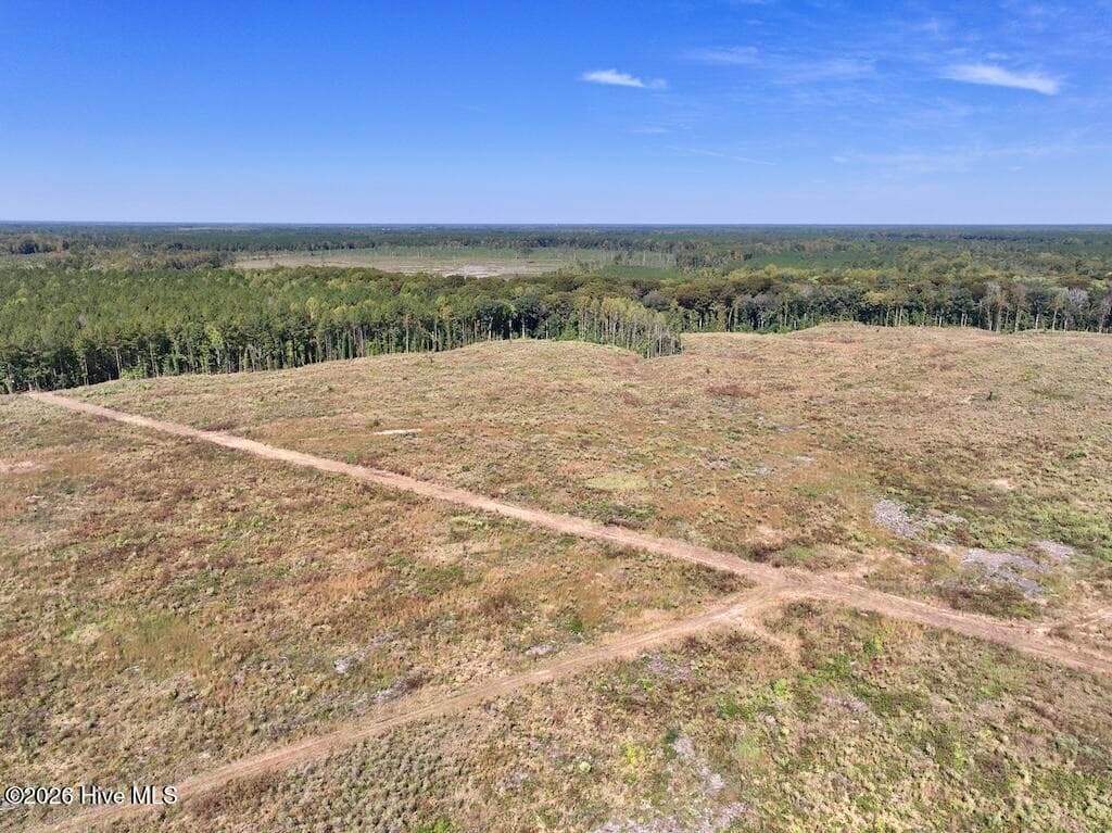 Mixed Use at 0 Spring Hill Road, Scotland Neck, NC 27874, photo 31 of 93