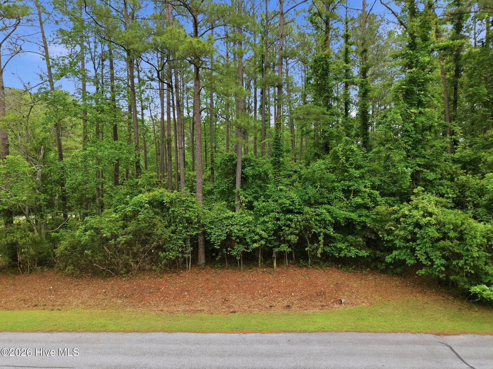 Residential Lot at 199 Live Oak Lane, Washington, NC 27889, photo 3 of 16