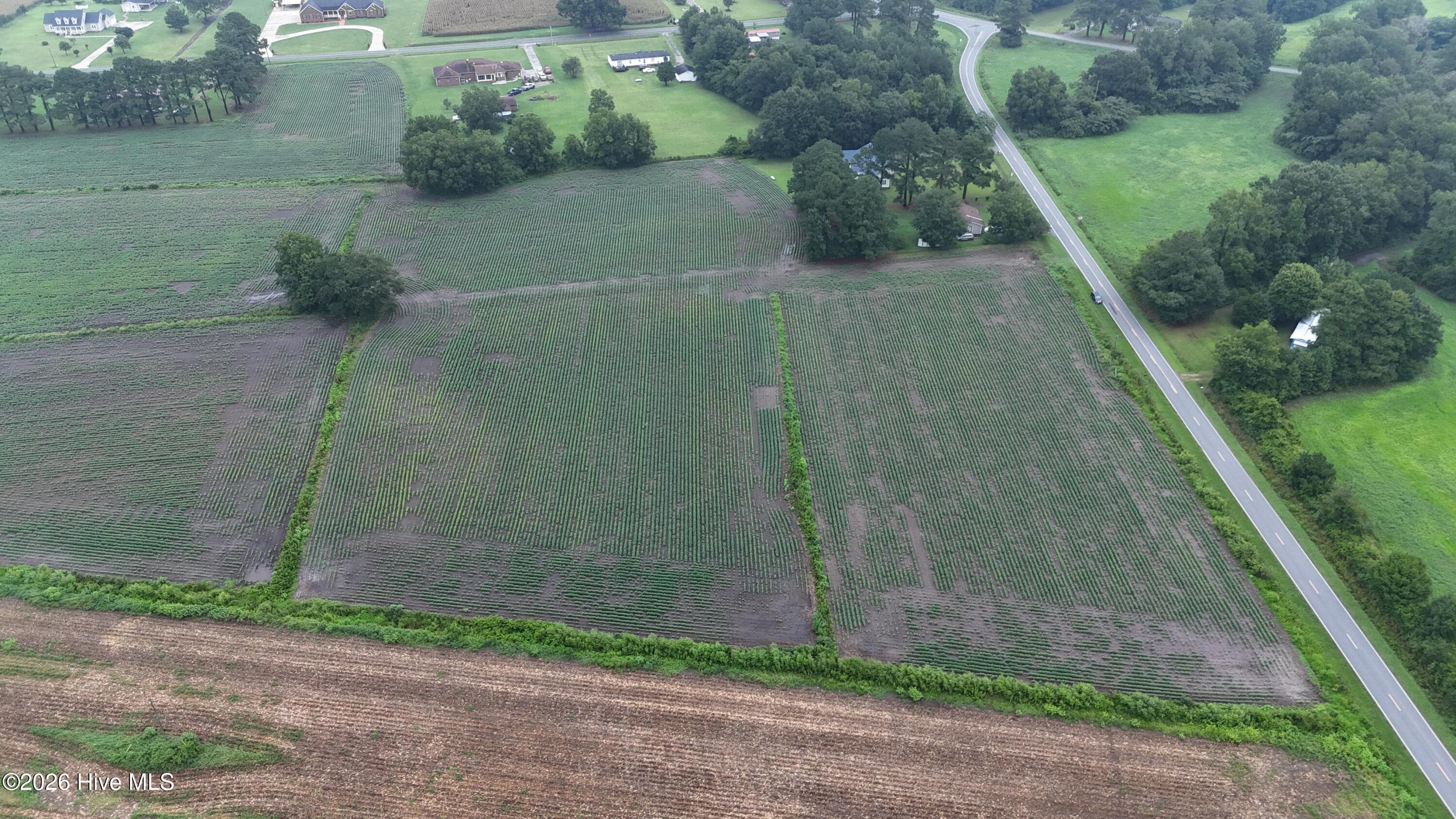 Agriculture at Near 128 Bay Rd., Rose Hill, NC 28458, photo 8 of 21