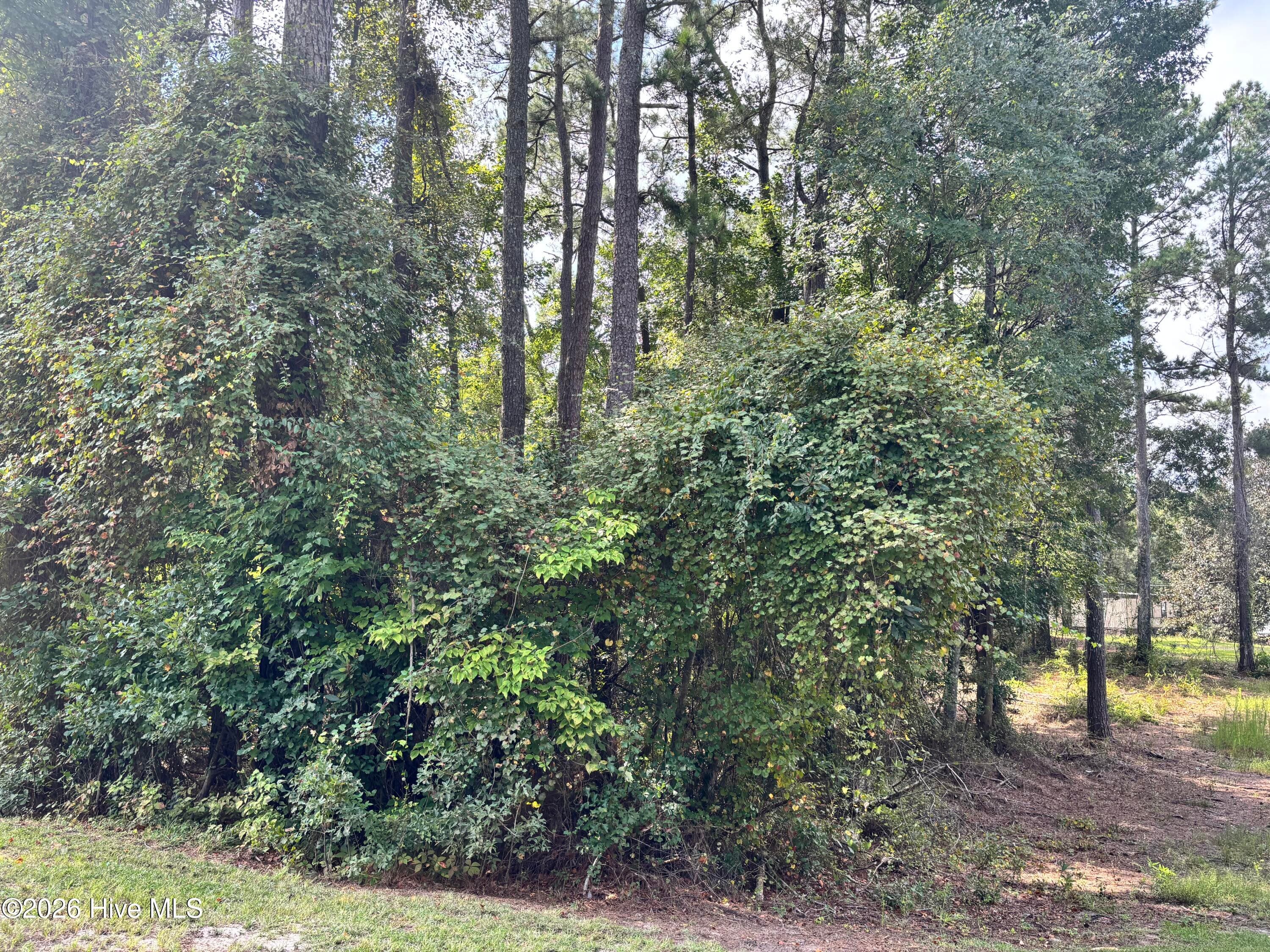 16 A 16A Point Caswell Road, Atkinson, NC 28421