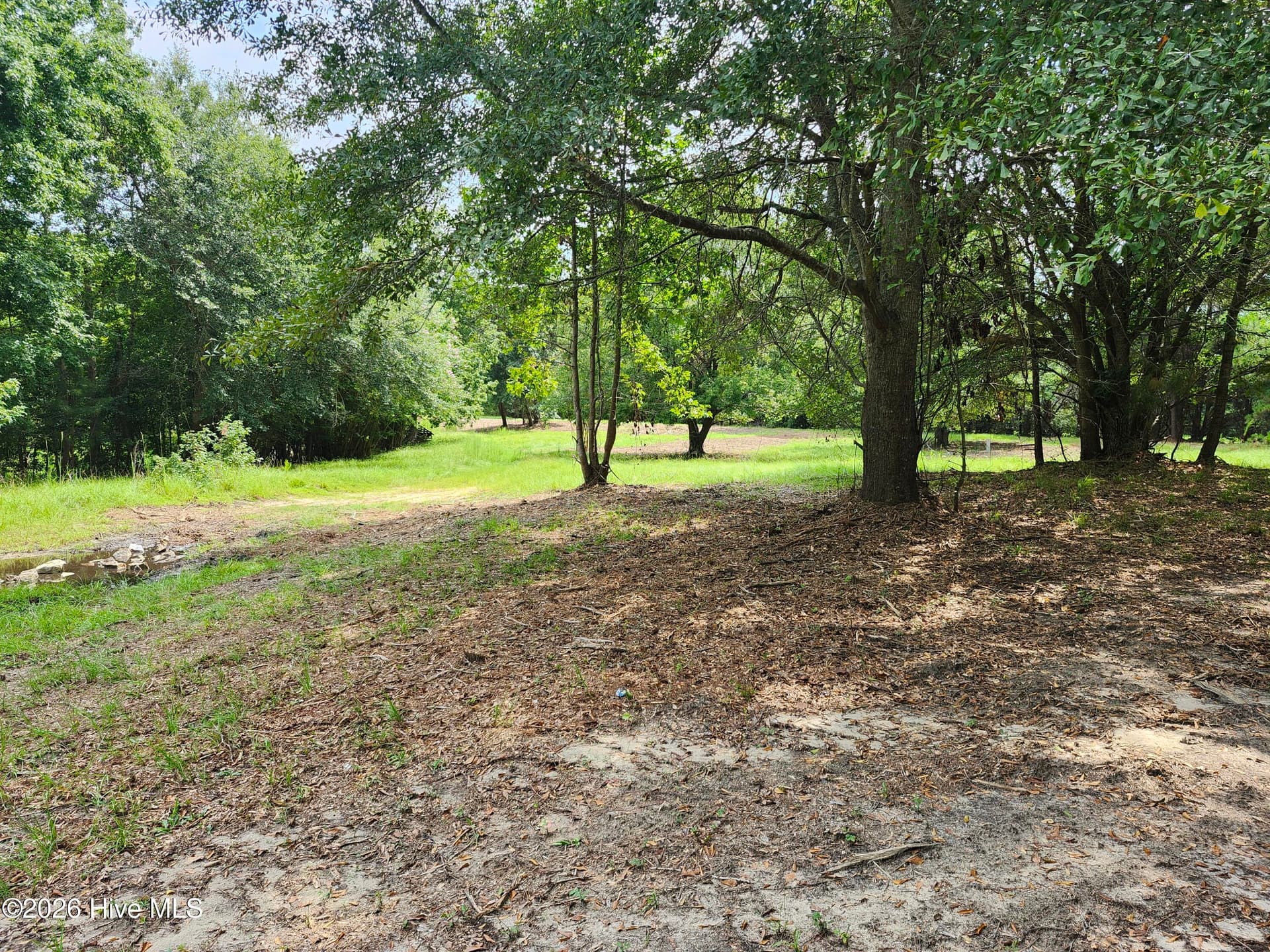 Wooded at 306 16 Revised Howards Landing Road, Hampstead, NC 28443, photo 12 of 17