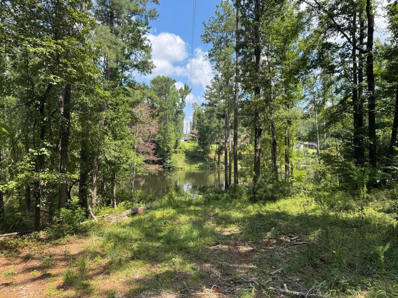 Residential Lot at 0 Hummingbird Drive, Trenton, SC 29847, photo 11 of 14