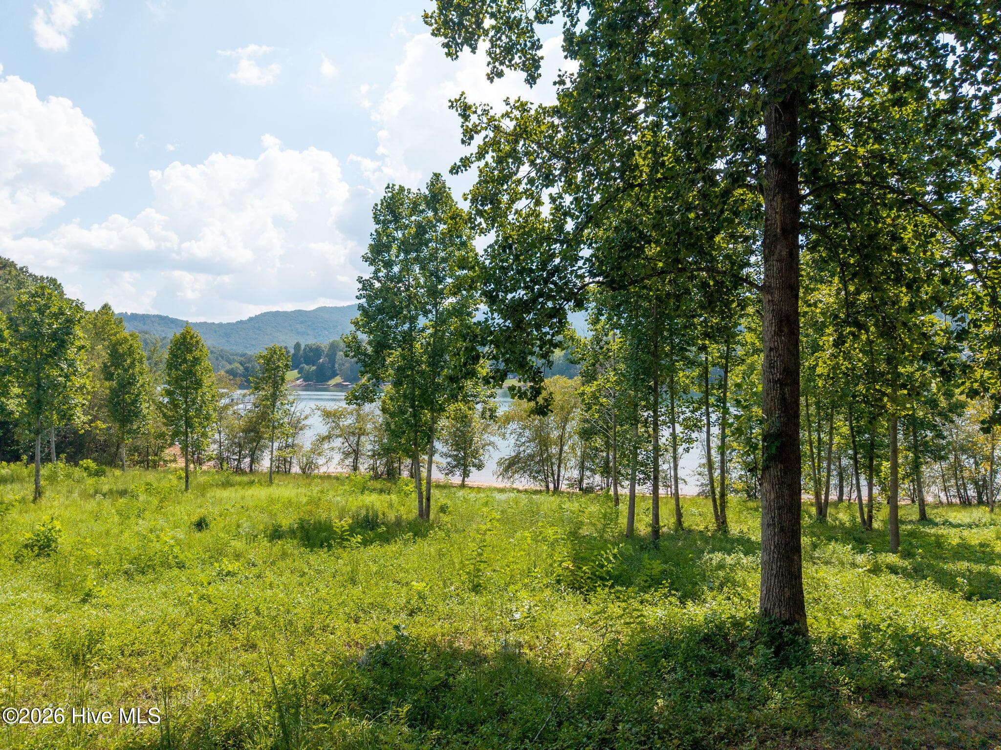Undeveloped at 314 Lakeside Drive, Hiawassee, GA 30546, photo 3 of 9
