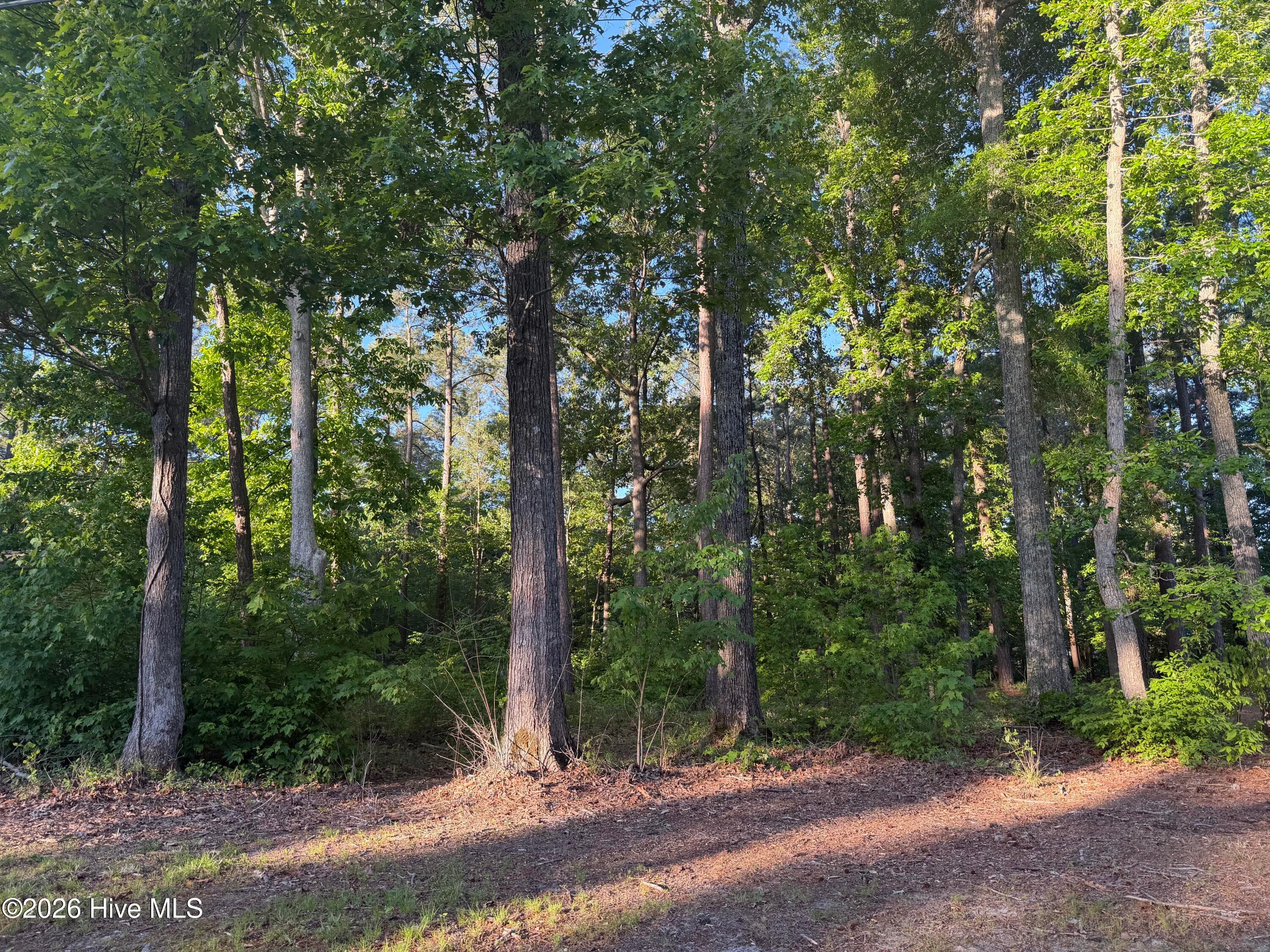 012-F 12 Holiday Island, Hertford, NC 27944