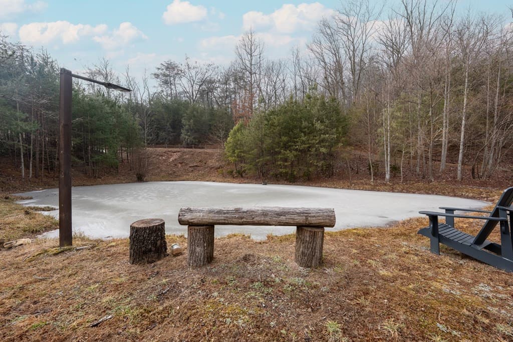 Land at Lot 120 Serene Pond Trail, Murphy, NC 28906, photo 15 of 16