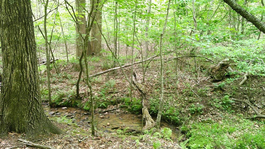 00 158 Tracks Hollow, Murphy, NC 28906