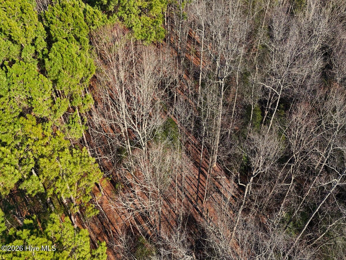 Residential Land at 0 Nc 98 Highway, Spring Hope, NC 27882, photo 9 of 39