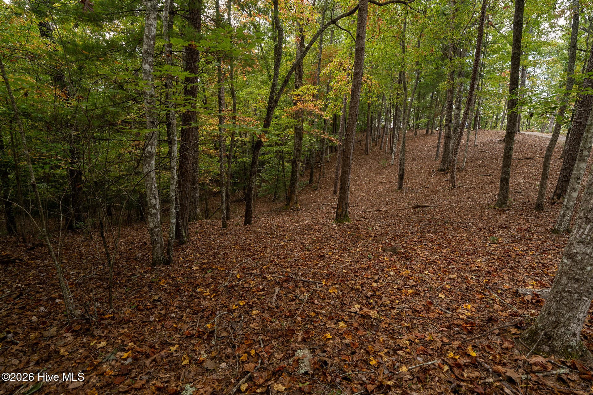 Wooded at Lot 22 Morris Ridge Drive, Murphy, NC 28906, photo 17 of 23