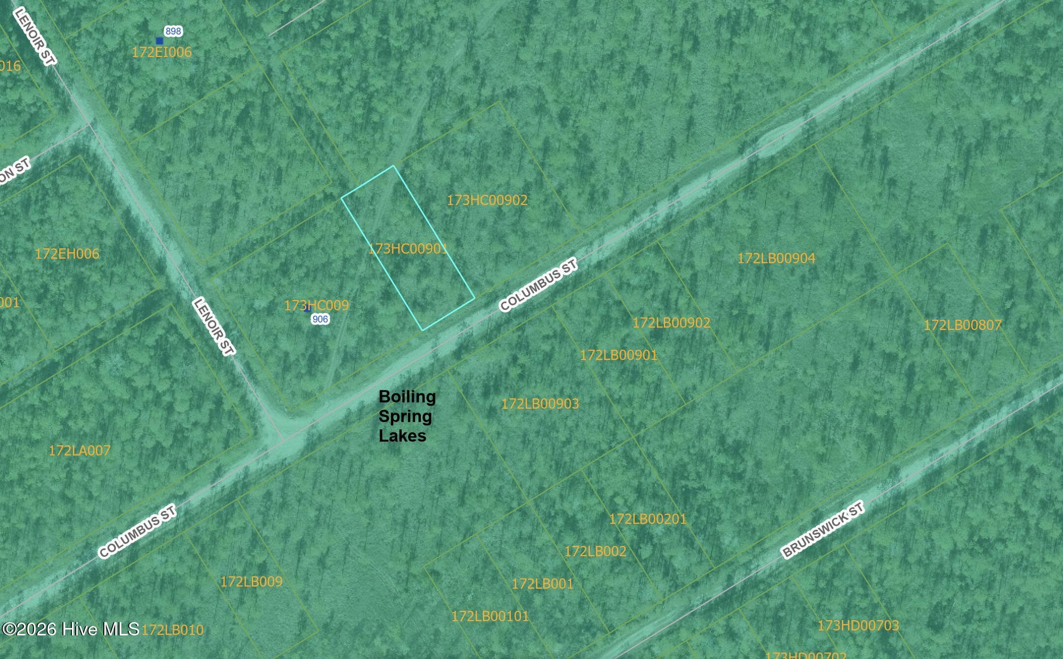 GIS - Lot 316 Columbus Road, Boiling Spring Lakes, NC 28461