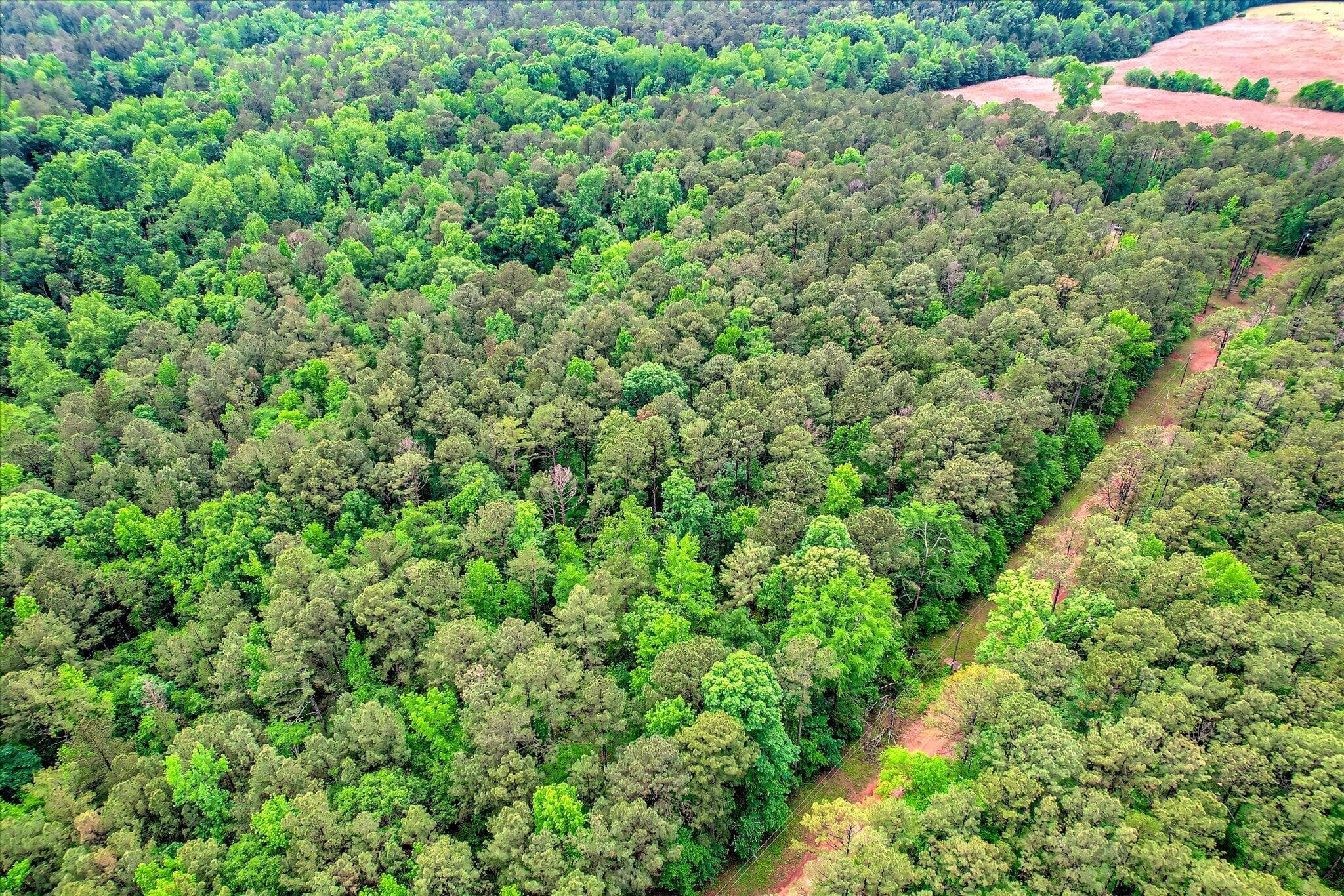 Residential Lot at 1622 Hinton Wilson Road, Harlem, GA 30814, photo 5 of 16