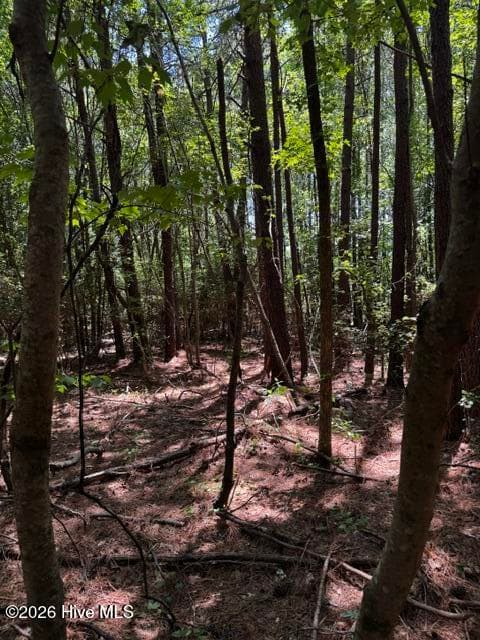 Undeveloped at Lot 1 Dan Road, Robbins, NC 27325, photo 18 of 22