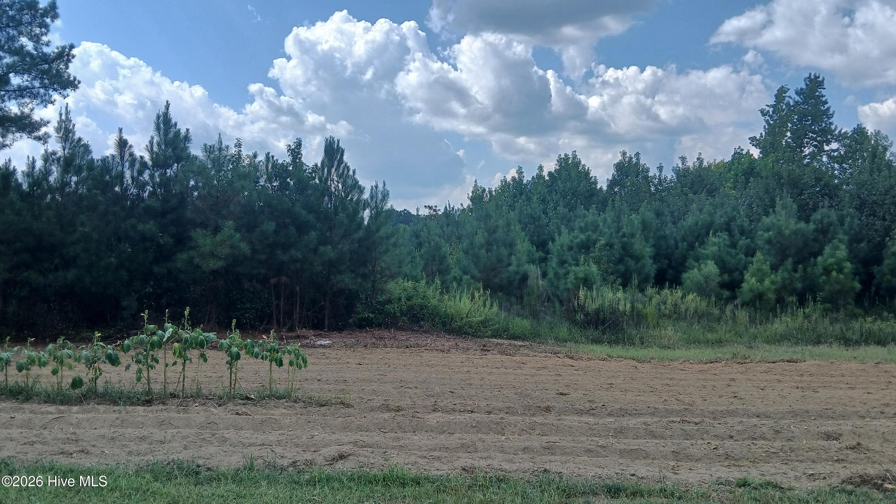 Wooded at 2 Taylors Gin Rd, Castalia, NC 27816, photo 2 of 2