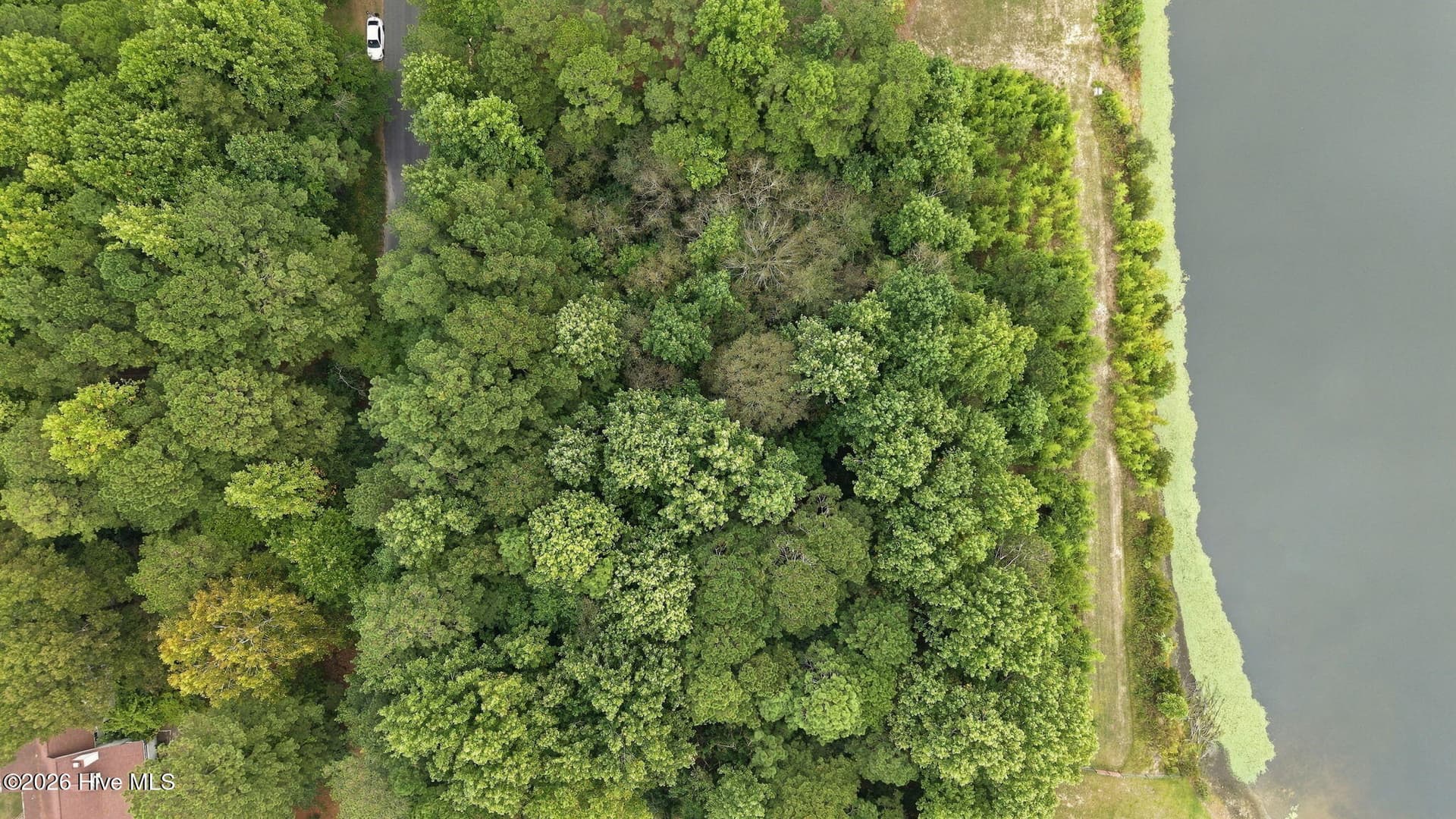 Pond is not visible from the ground. - 134 Bellhaven Drive, Carthage, NC 28327