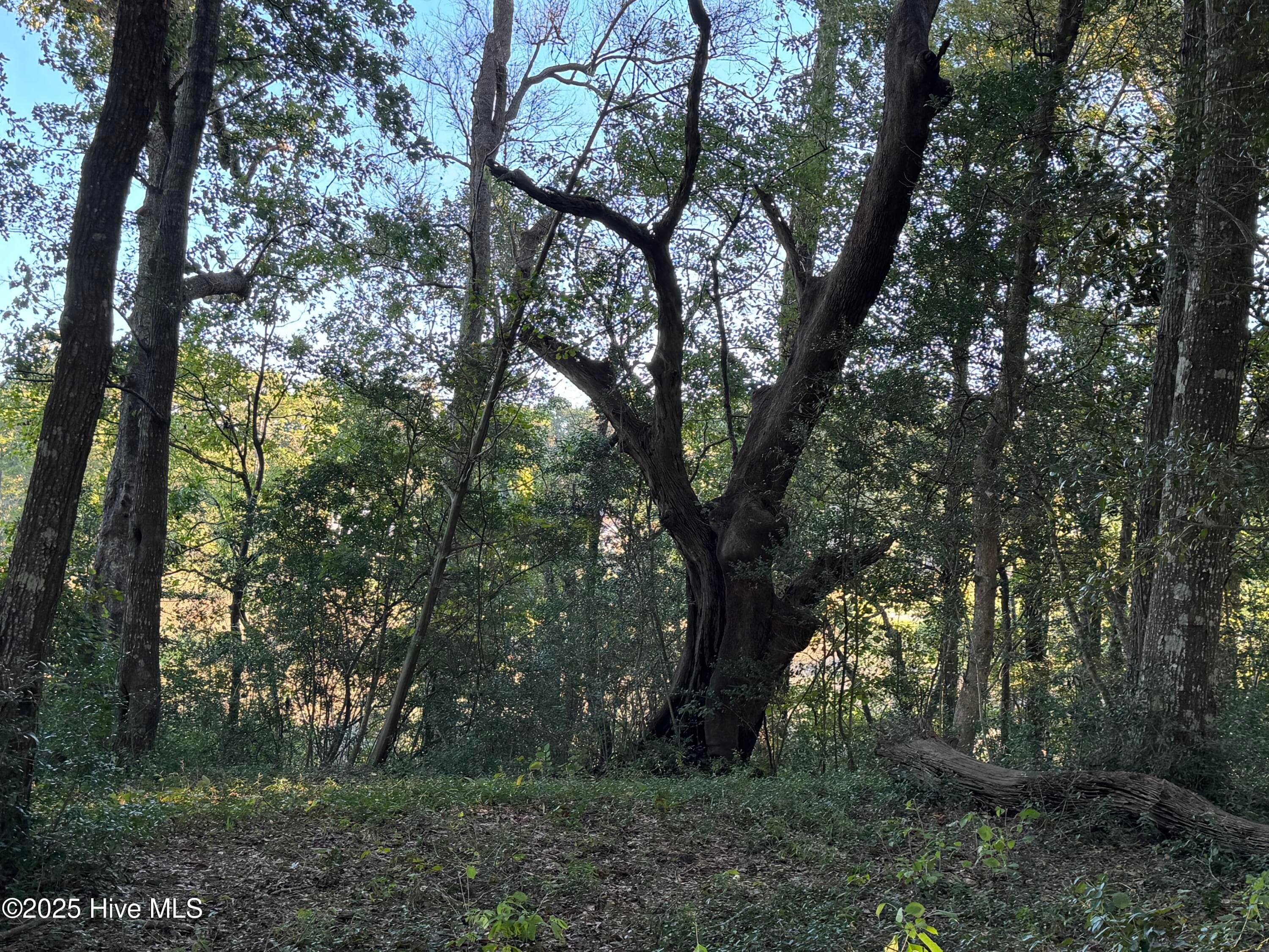 Residential Lot at 594 Medcalf Drive SW, Sunset Beach, NC 28468, photo 5 of 7