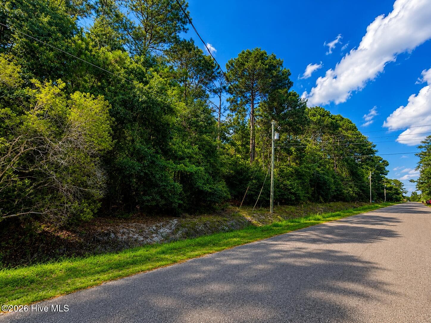 Wooded at 225 24 Pages Creek Drive, Wilmington, NC 28411, photo 3 of 3