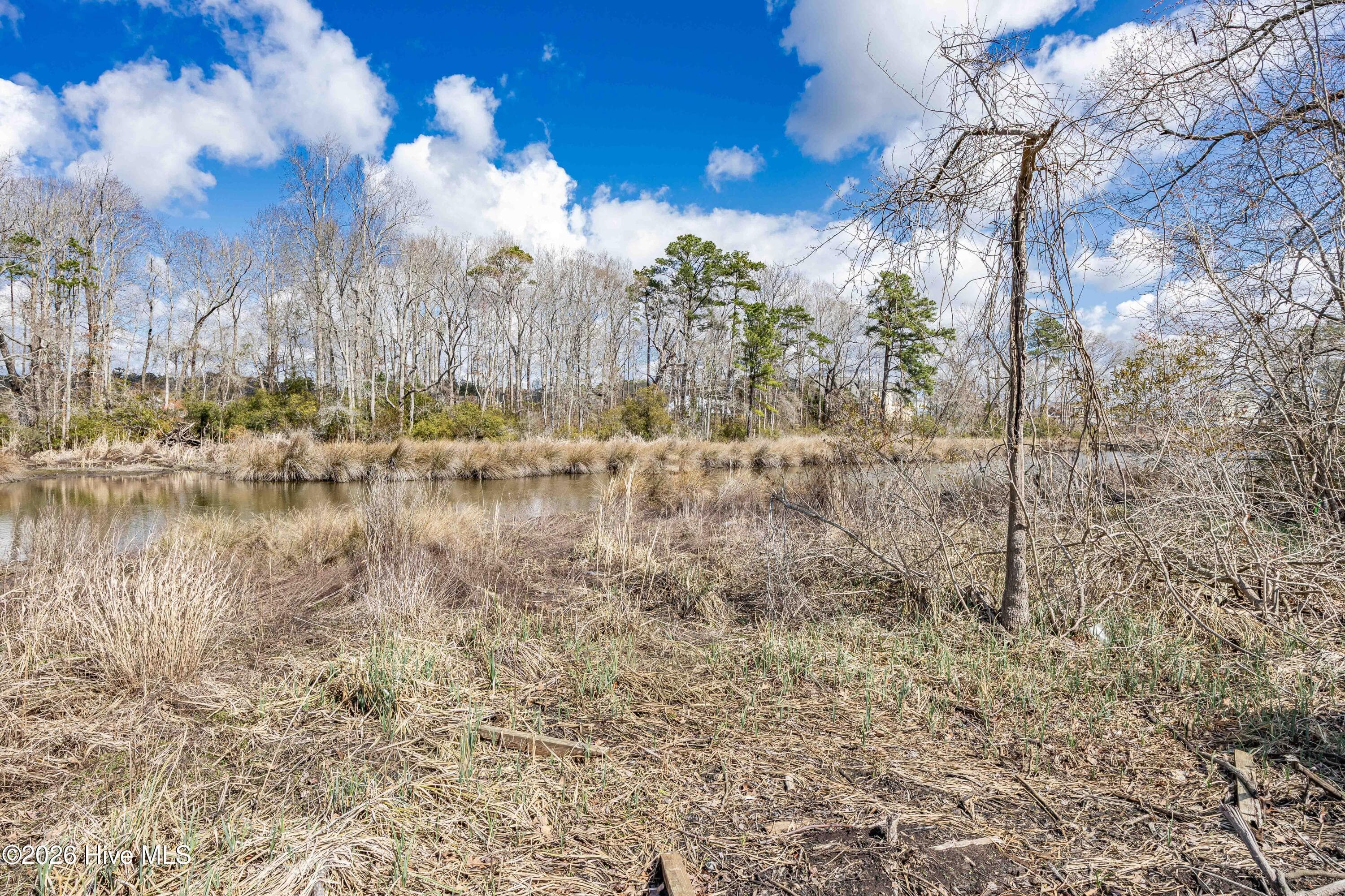 Residential Lot at 0 6 Nc 92 Hwy E, Bath, NC 27808, photo 27 of 31