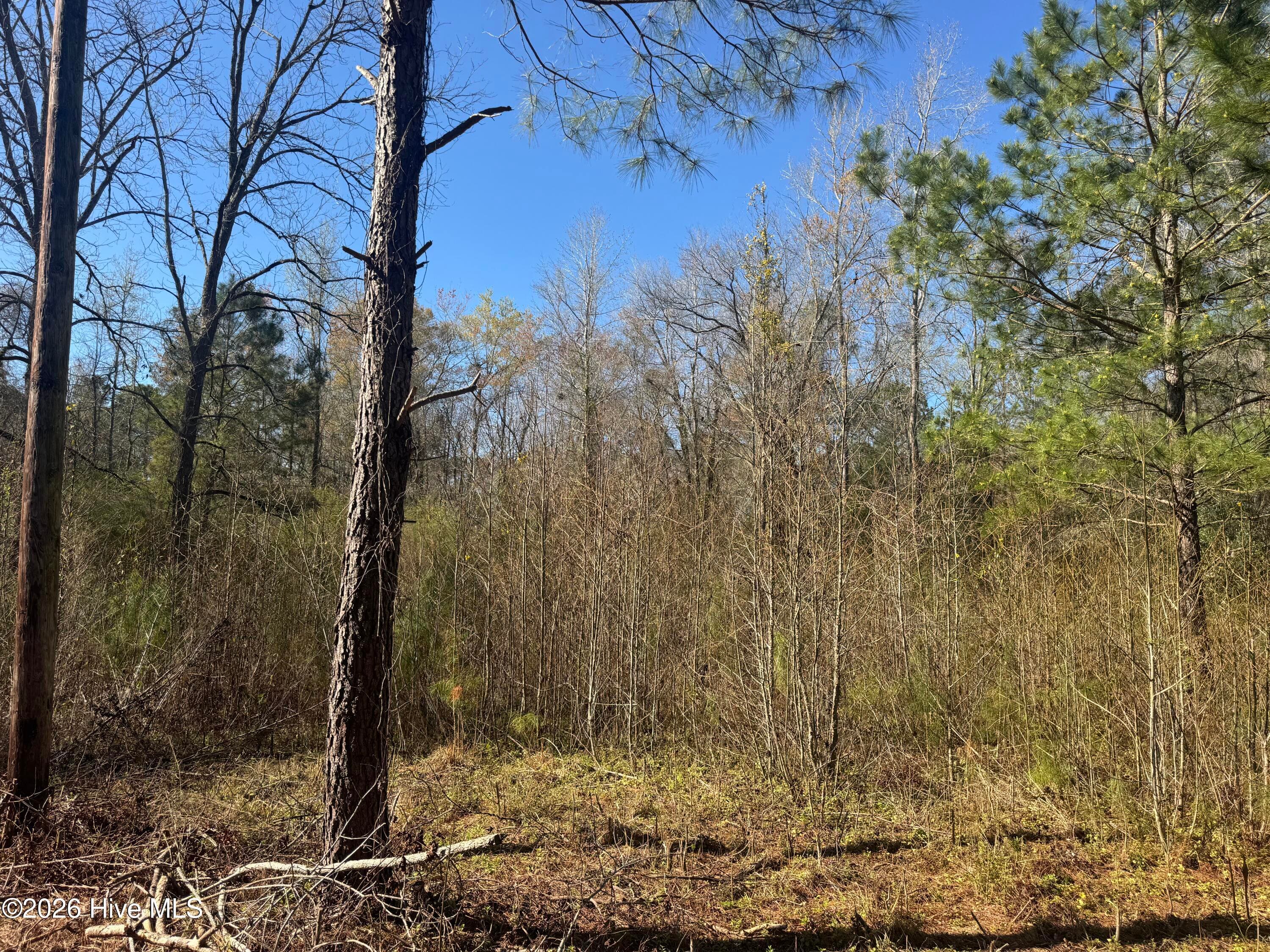 Mixed Use at 0 2 & 3 Little Prong Road NW, Ash, NC 28420, photo 5 of 7