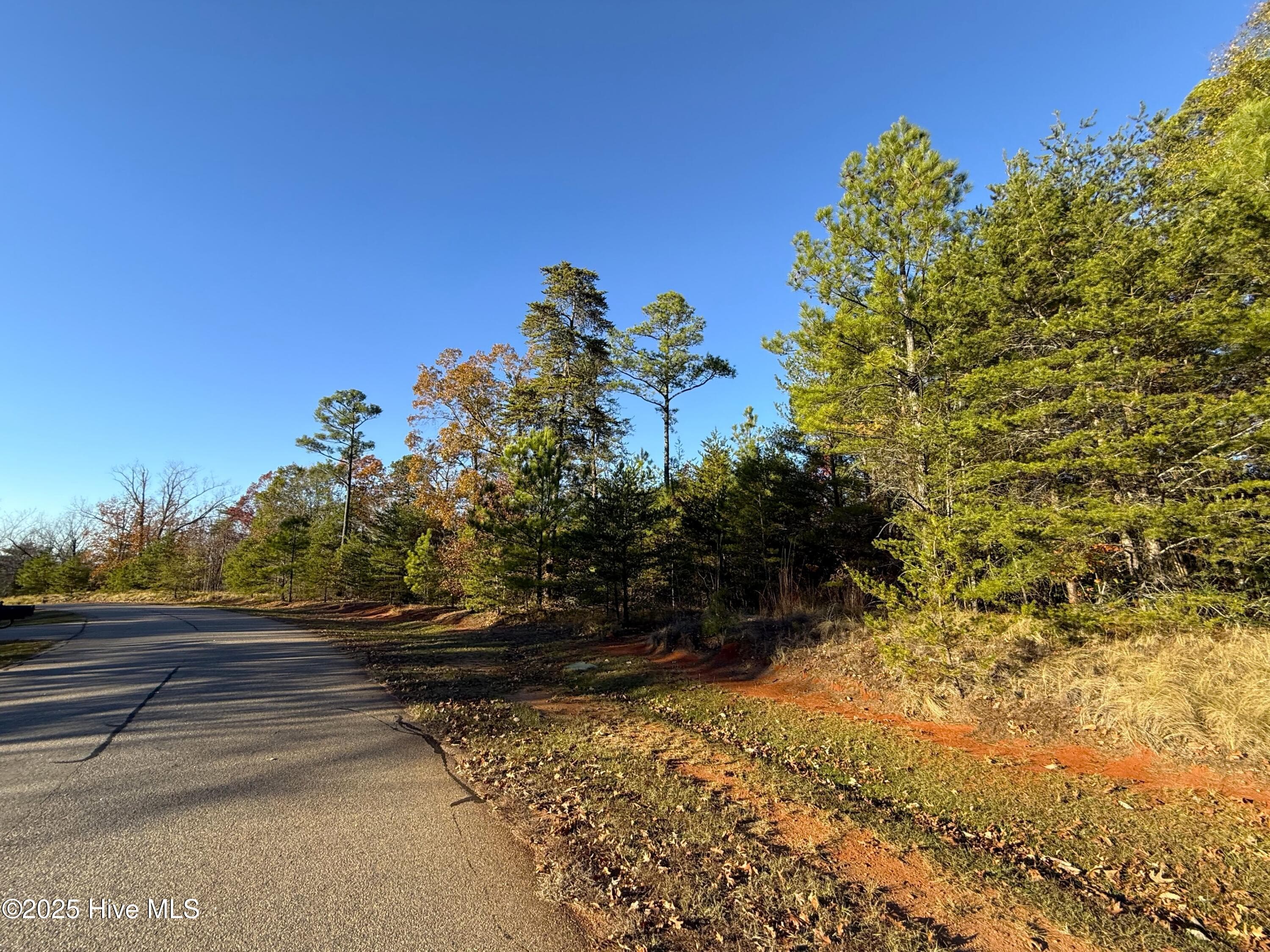 Residential Lot at 176 94 Lakeview Pass, Rockingham, NC 28379, photo 19 of 30