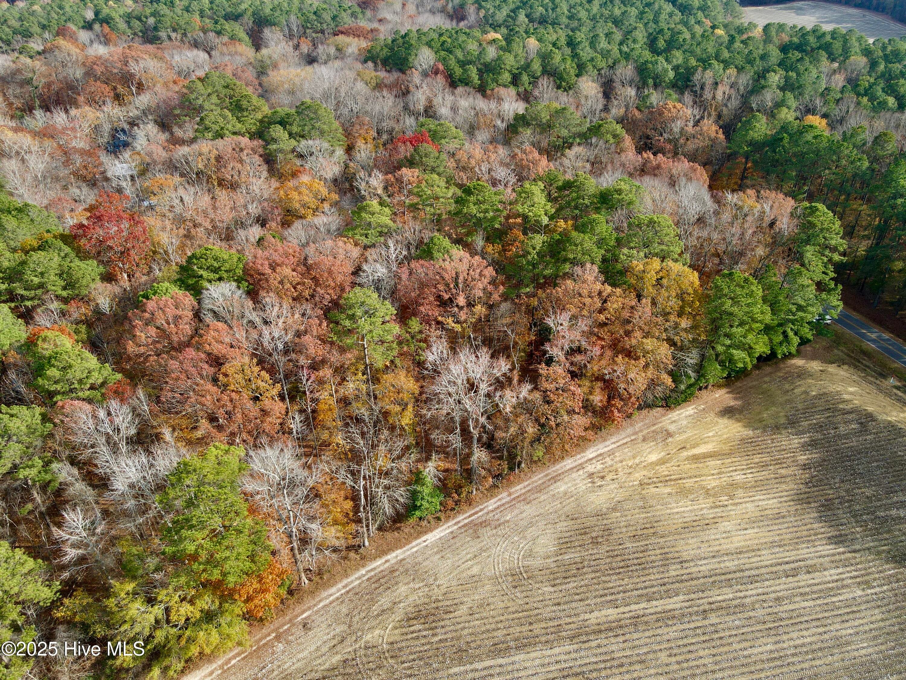 Wooded at 0 Williams Road, Williamston, NC 27892, photo 7 of 16