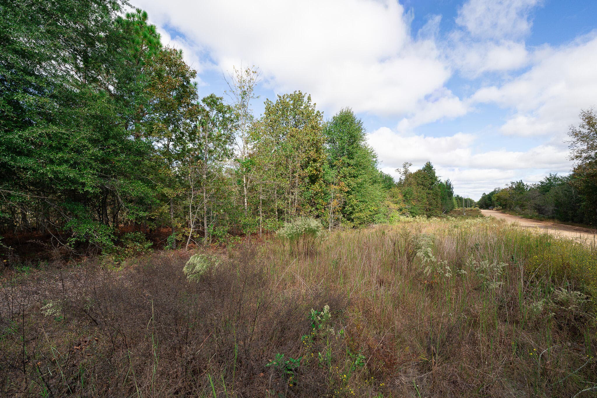 Undeveloped at Lot 11 Marie Vann Road, Waynesboro, GA 30830, photo 15 of 16