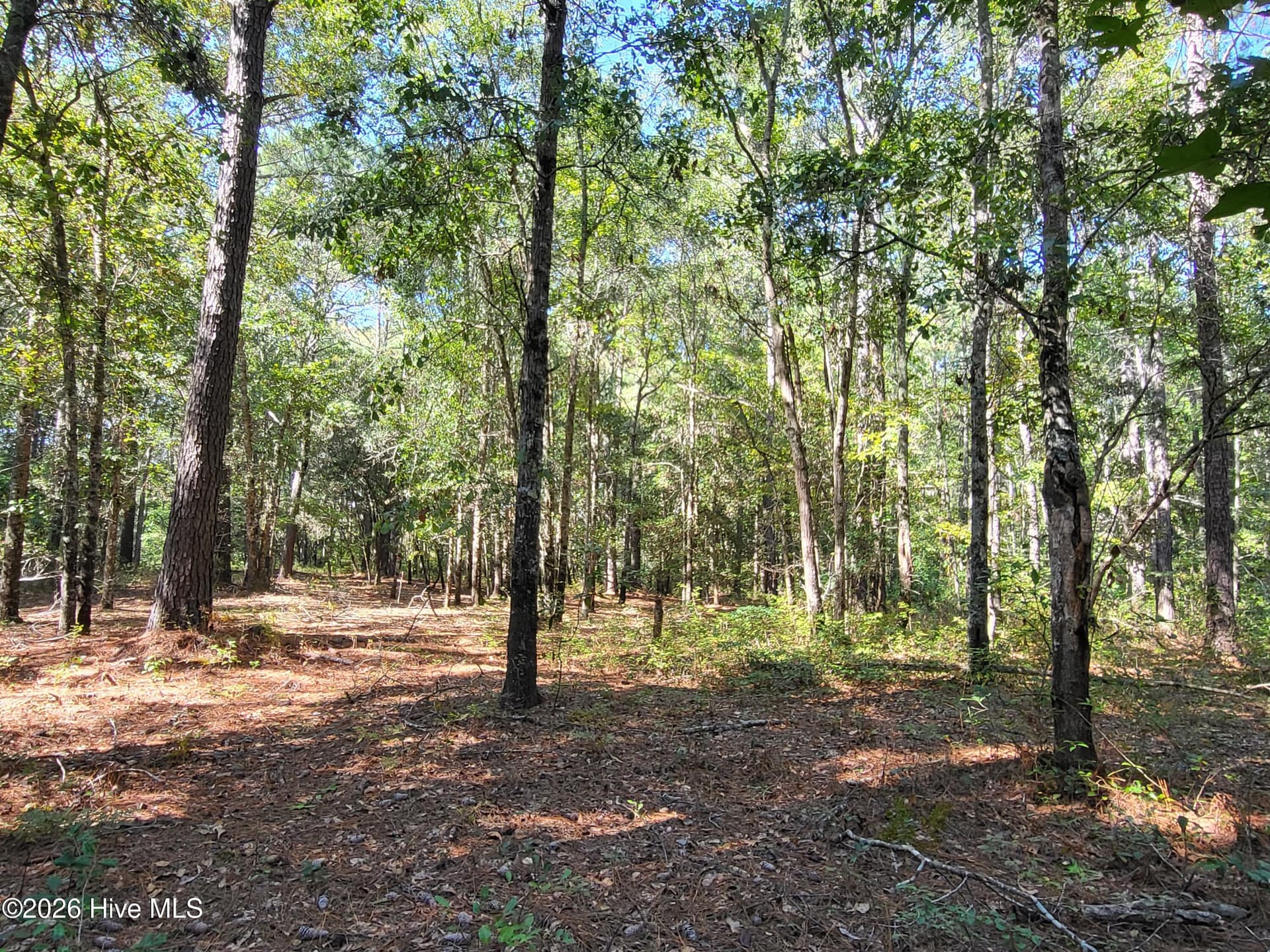 Wooded homesite - 538 Lindgrove Place SW, Ocean Isle Beach, NC 28469