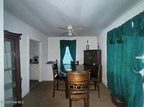 Single Family Residence at 301 W 10th Street, Scotland Neck, NC 27874, photo 6 of 16