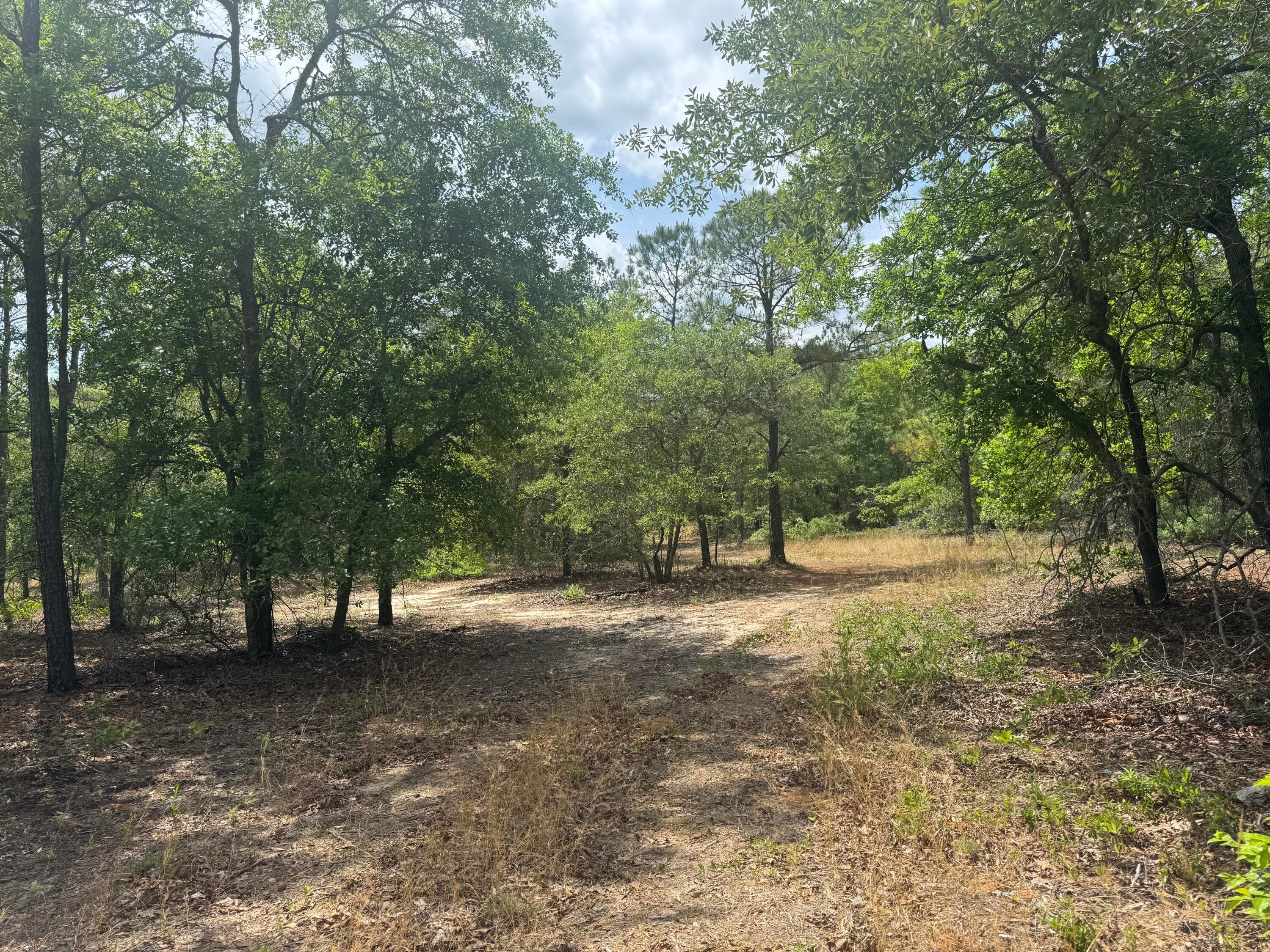 Undeveloped at 745 Wright Allen Road, Blythe, GA 30805, photo 17 of 18
