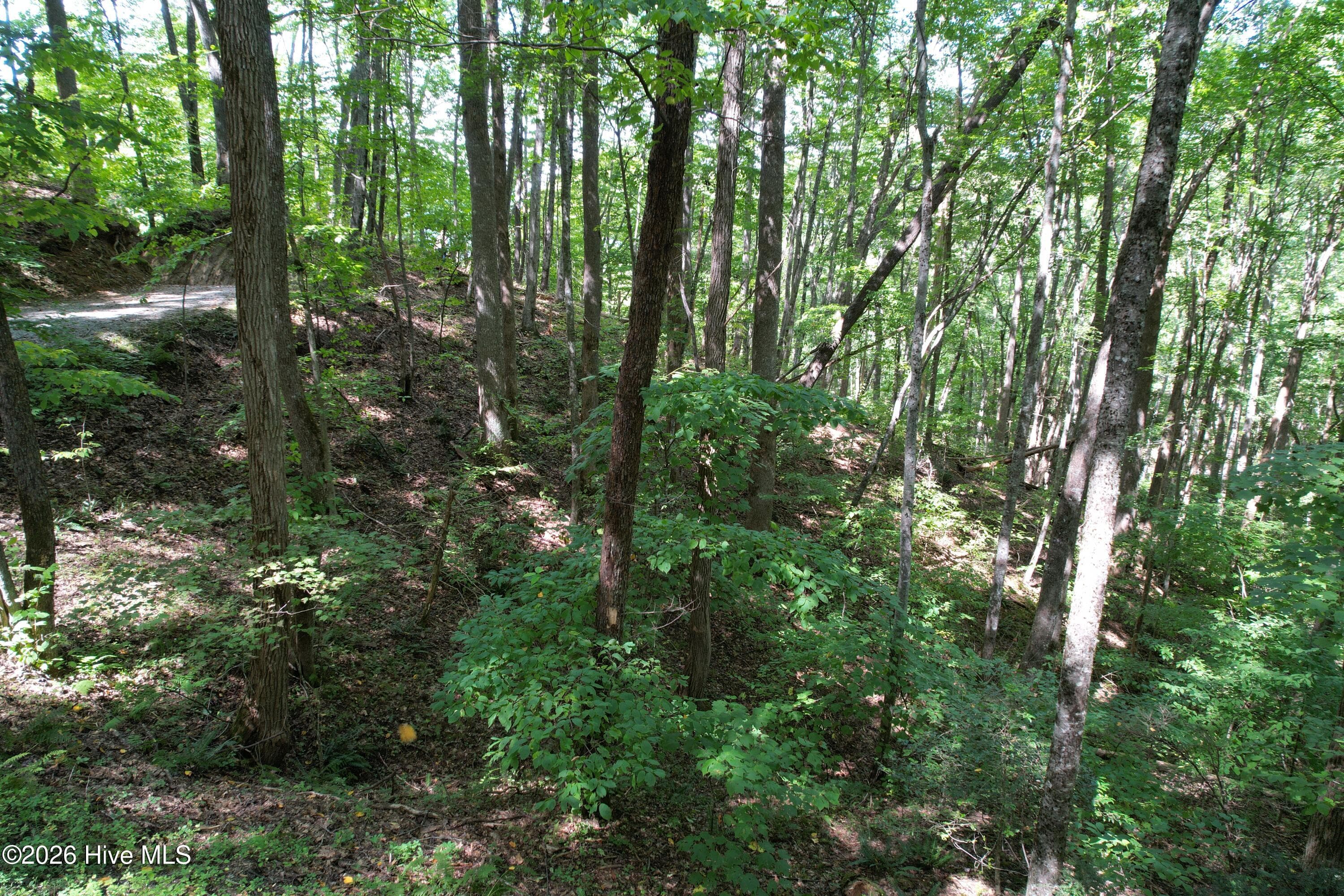 10 Deer Park Lane, Topton, NC 28781