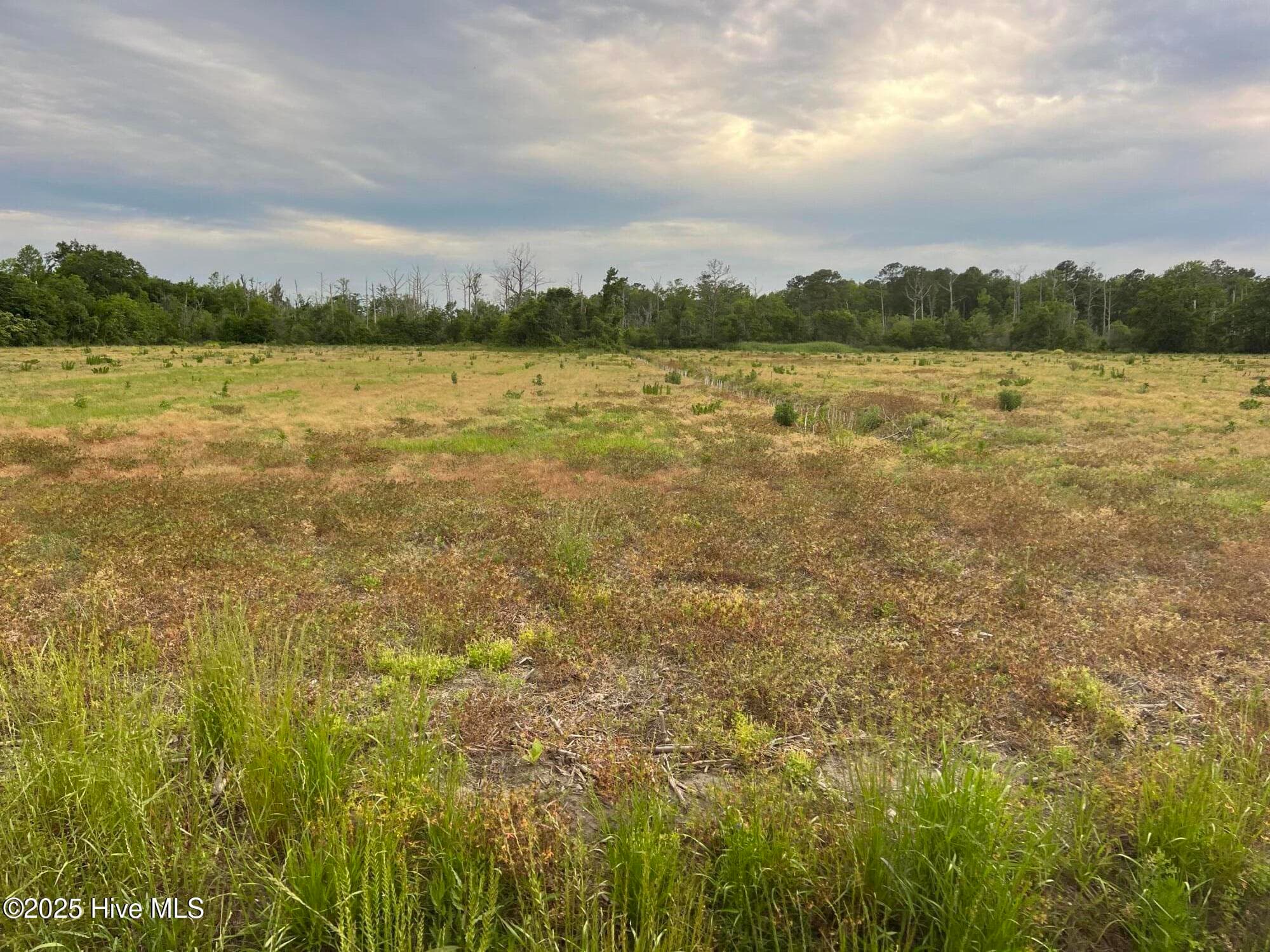 0 Sr 1918 Road, Aurora, NC 27806
