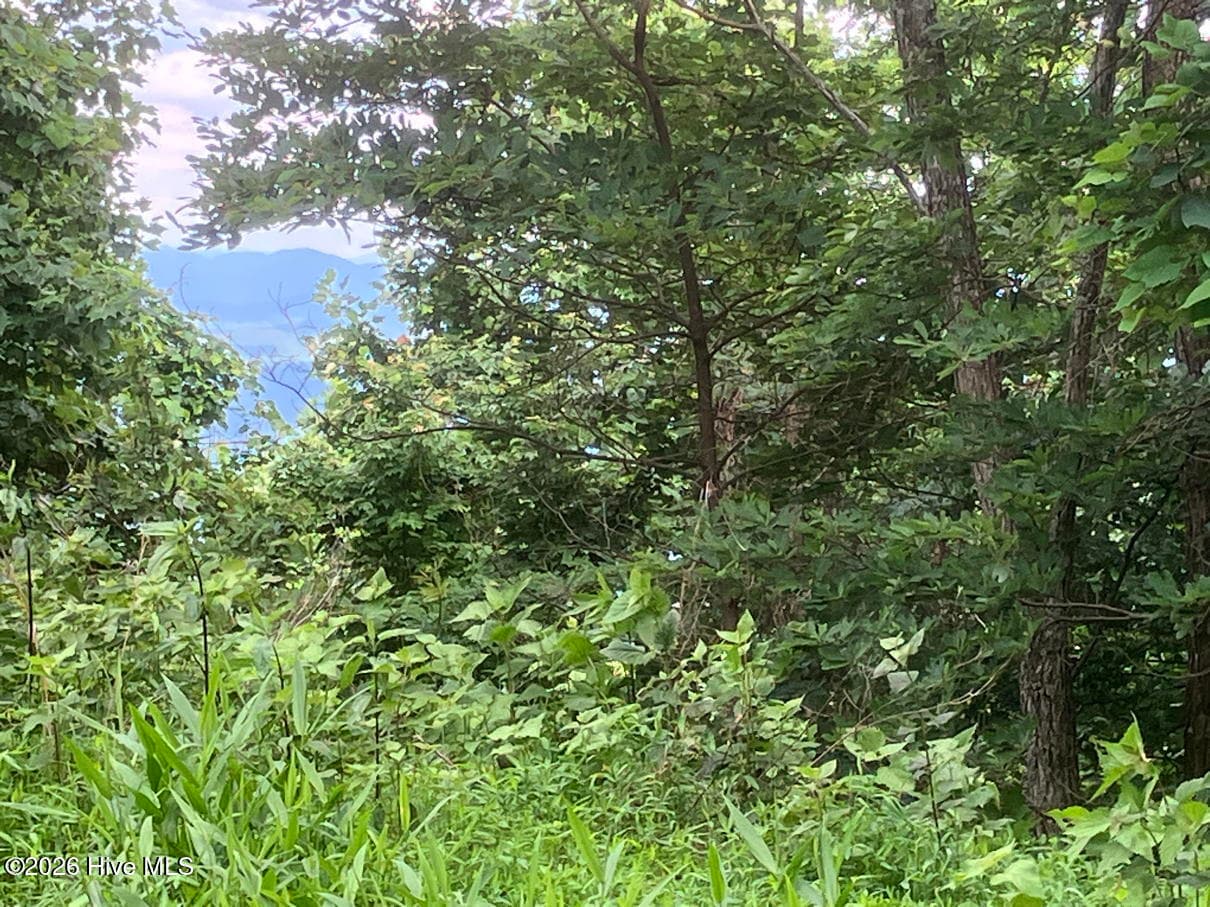 Residential Lot at Lot 51 51 Buck Ridge Drive, Murphy, NC 28906, photo 9 of 10